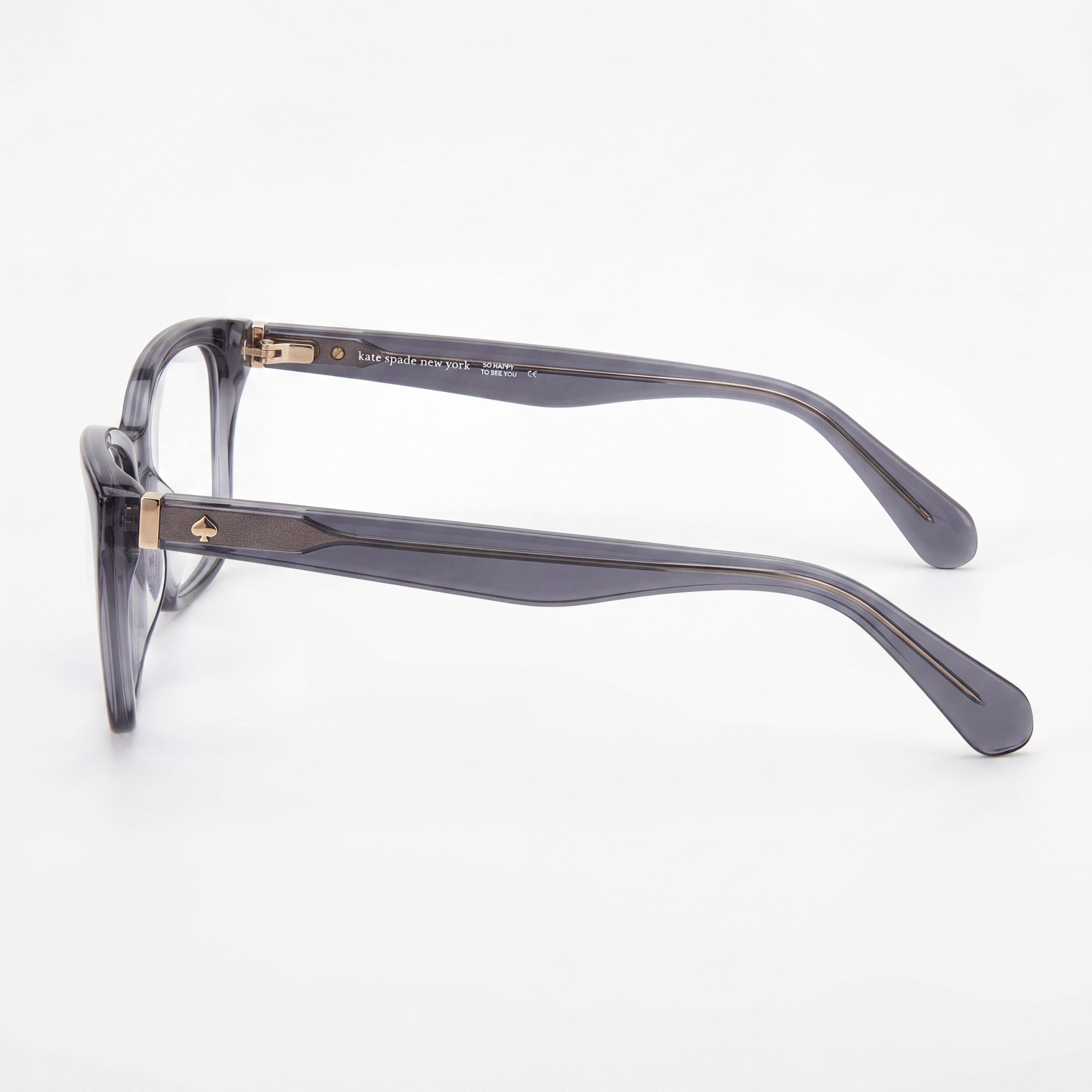 kate spade new york Modern Women's Transparent Grey Acetate Full Rim Square Eyeglasses with Grey Lenses 52mm, Photo 2
