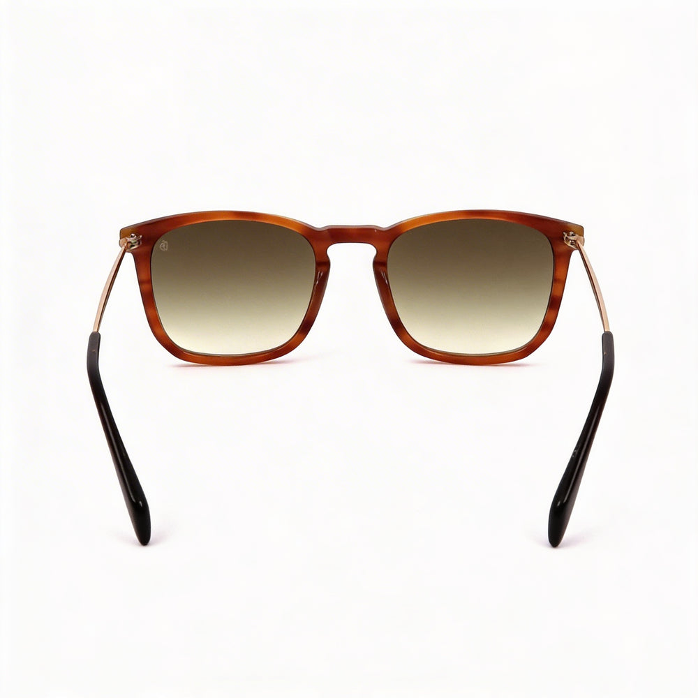 David Beckham DB 1034/S Casual Men's Bwnhorn Gold Acetate Non-Polarized UV Protection Sunglasses 53mm