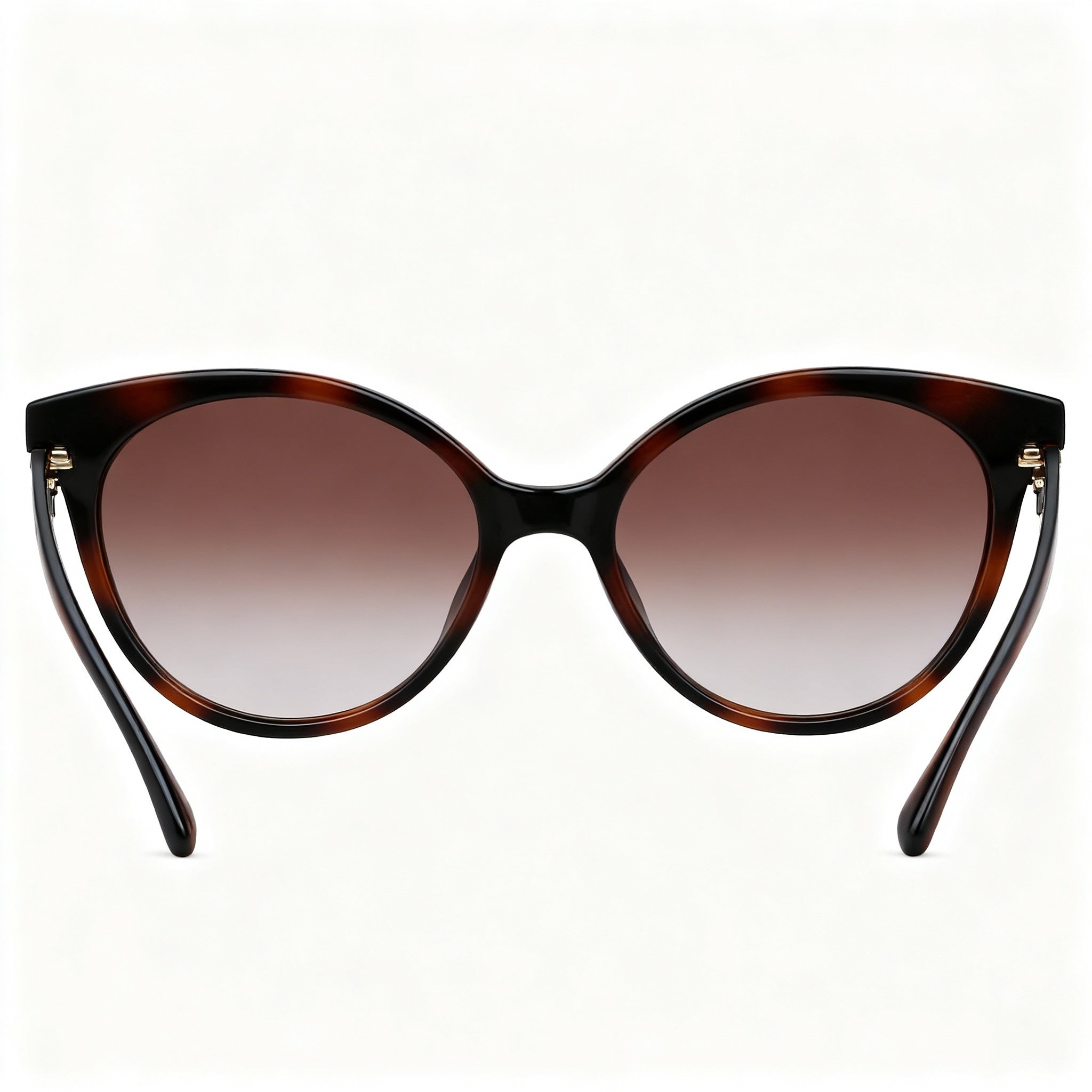 Salvatore Ferragamo Classic Women's Tortoise Plastic Round Non-Polarized Sunglasses Brown Gradient Lenses 58mm, Photo 3