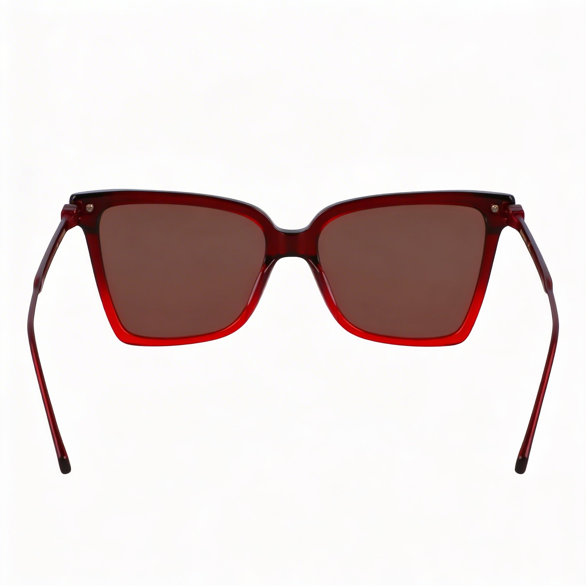 Ferragamo Sf2036s Unisex Butterfly Acetate Frame Sunglasses Gradient Transparent Dark Red 56mm, Photo 4