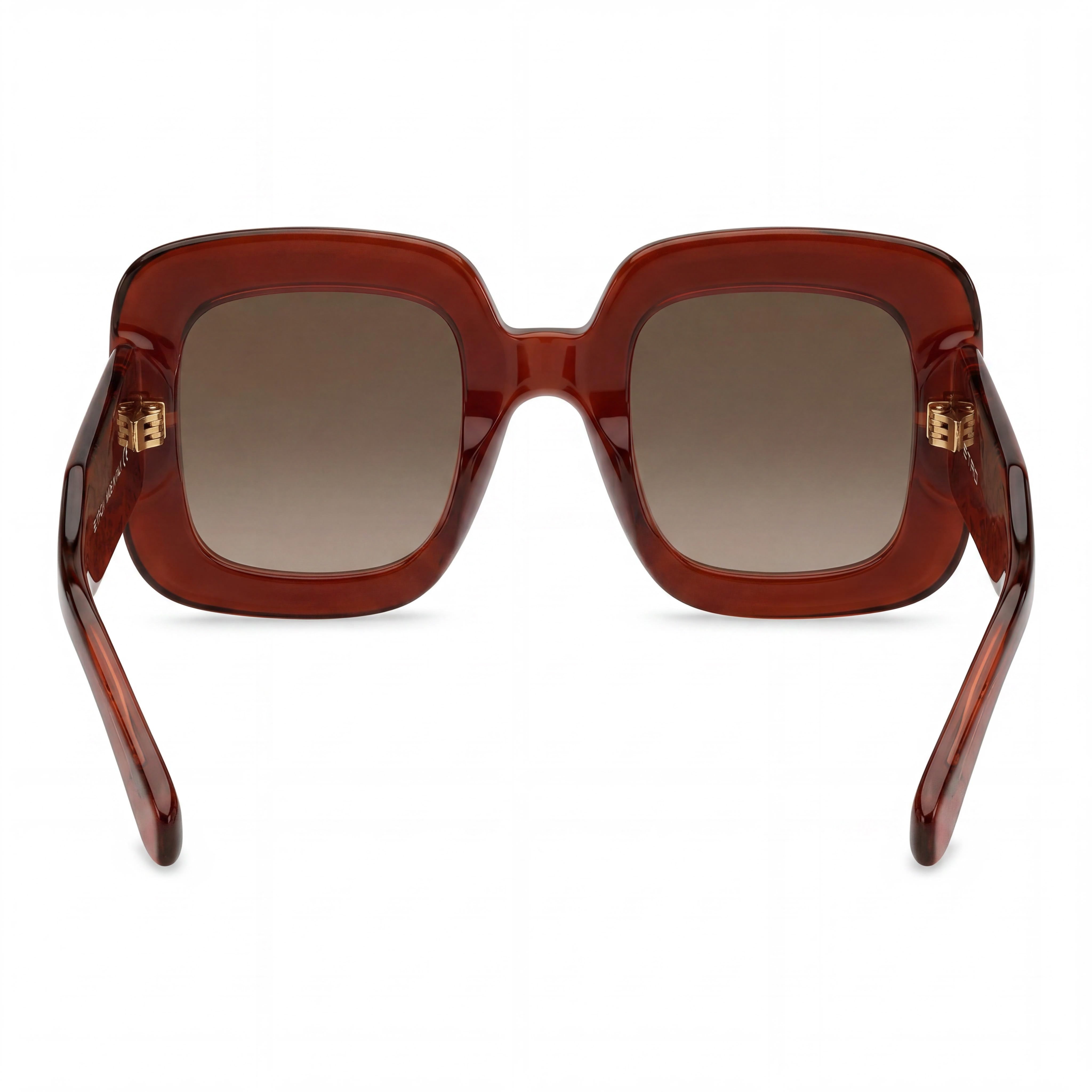 Etro ETRO 0015/S Women's Casual Sunglasses, Brick Brown Shaded Polyamide Frame, Brown Shaded Non-Polarized Lenses, 48mm, Photo 4