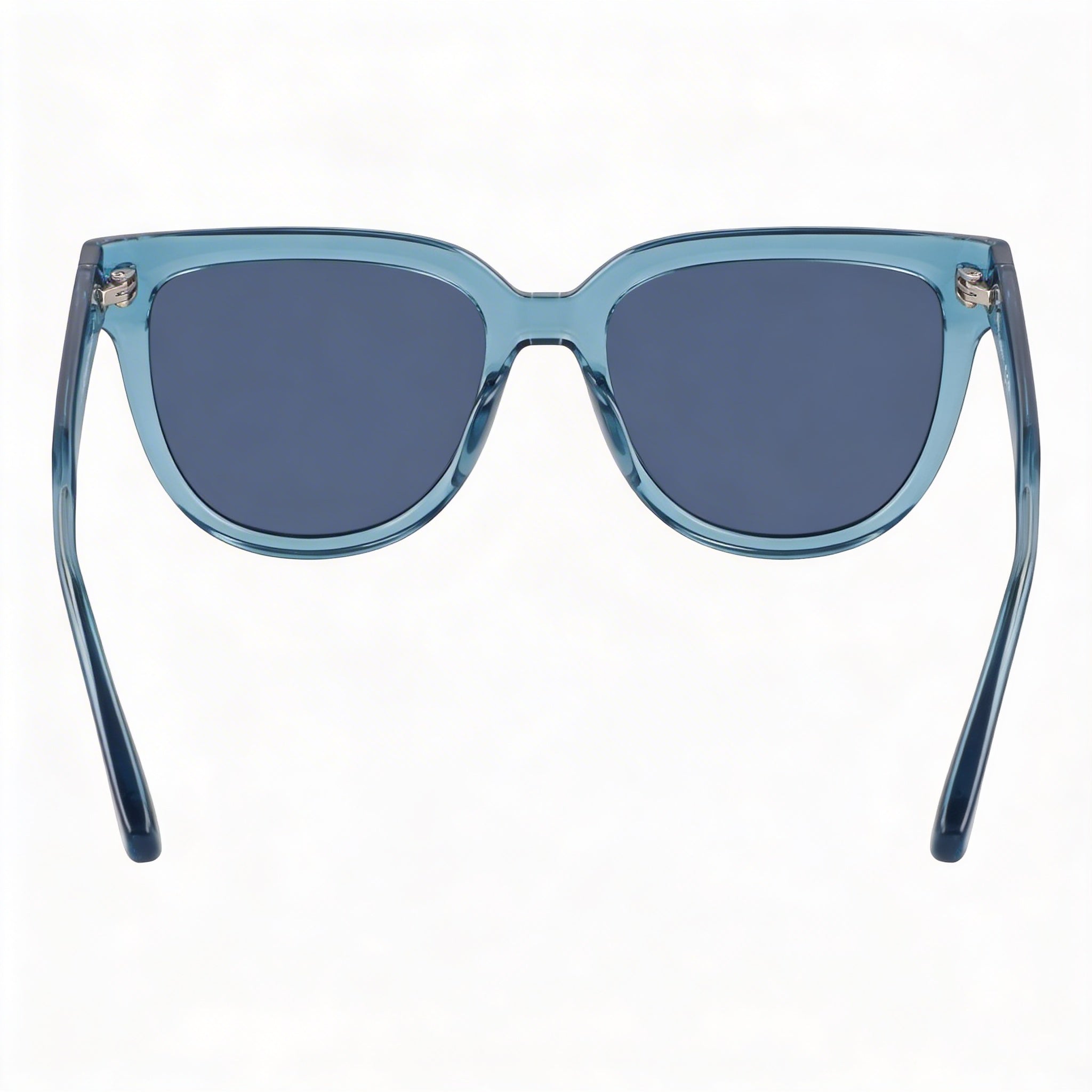 Longchamp Casual Women's Transparent Avio Iniettato Frame Non-Polarized Polycarbonate Lens Sunglasses 52mm, Photo 3