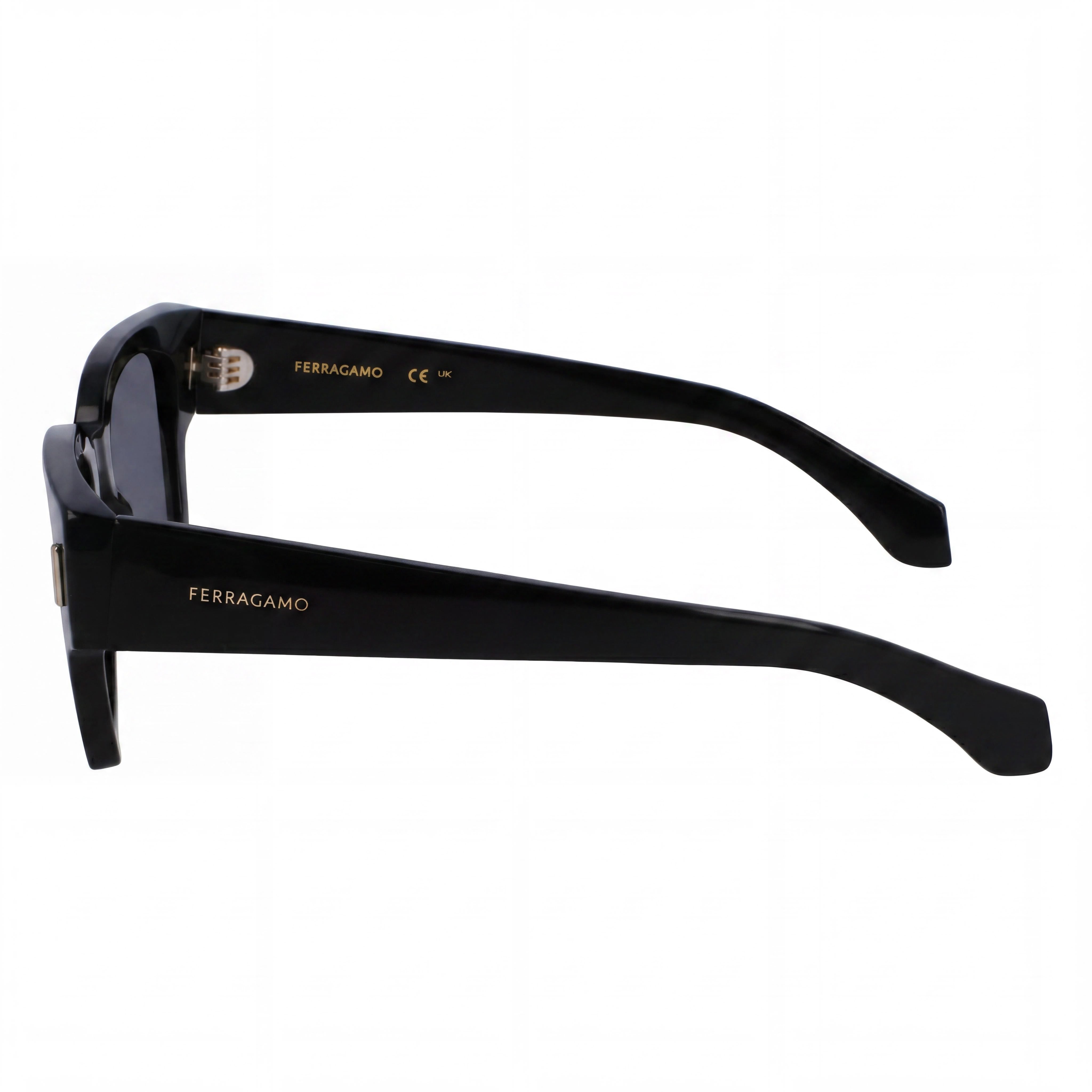 Salvatore Ferragamo SF2010S Men's Black Acetate Frame UV 400 Protection Polycarbonate Lens Sunglasses 52mm, Photo 3