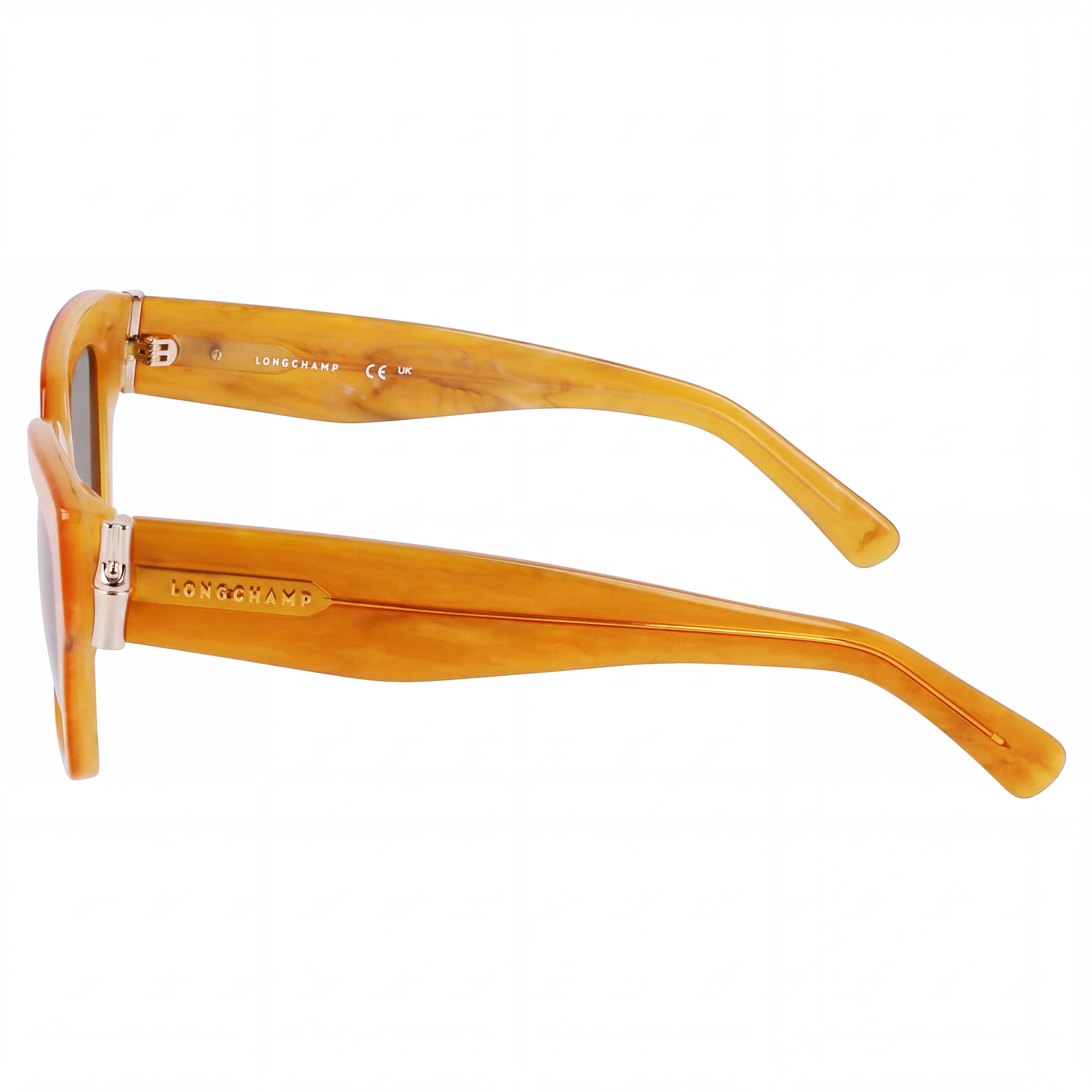 Longchamp LO745S Women's Casual Acetate Sunglasses with Honey Frame and UV 400 Polycarbonate Lenses 53mm, Photo 3