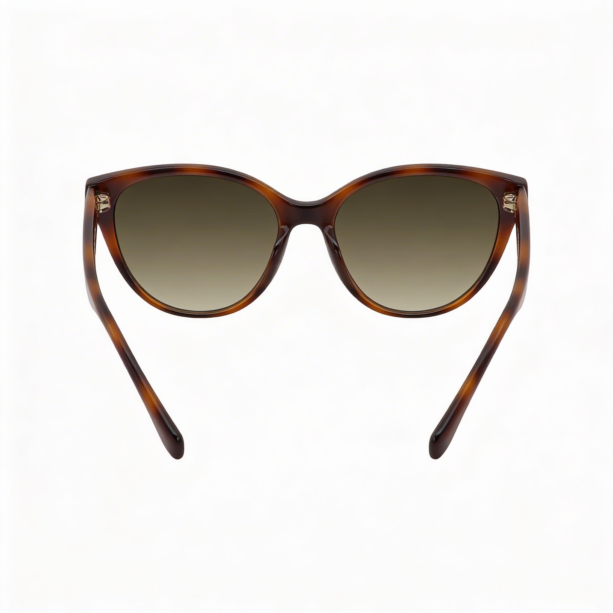 Ferragamo SF1073S 240 Women's Butterfly Tortoise Grey Gradient 100% UV Sunglasses 54mm, Photo 3