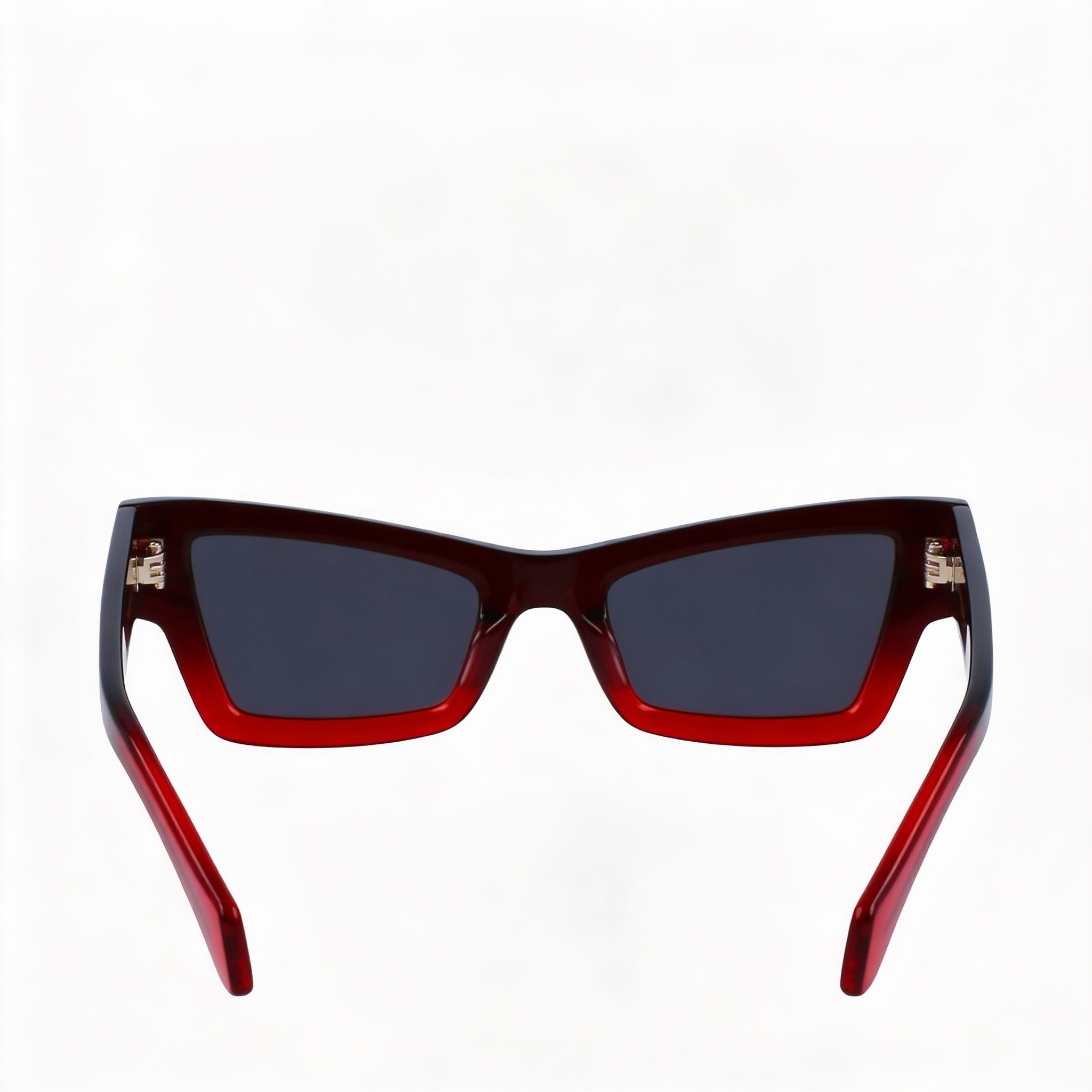 Salvatore Ferragamo Sf2006s Unisex Plastic Gradient Transparent Dark Red UV Protected Non-Polarized 53mm, Photo 3