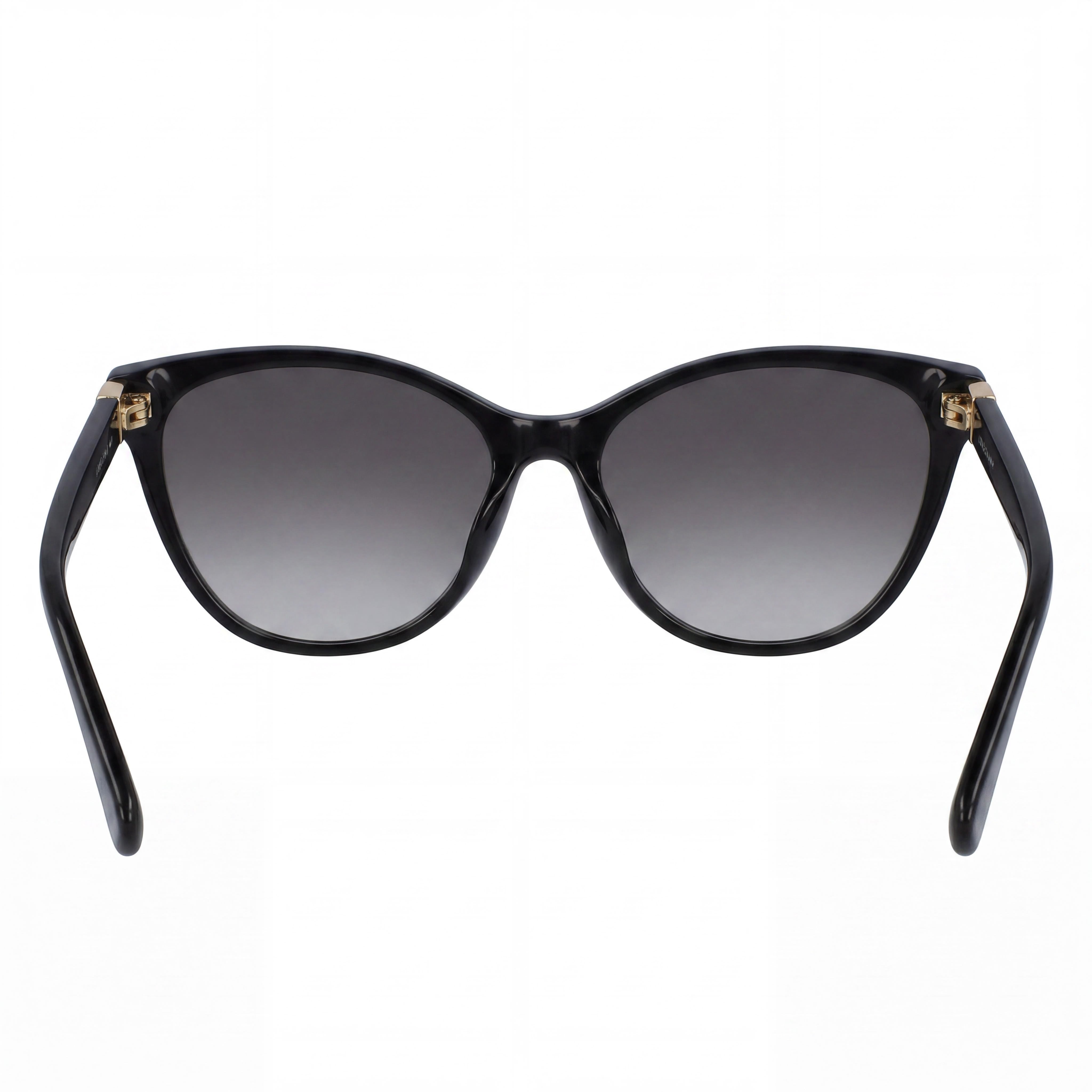 Longchamp LO659S Women's Cat Eye Black Plastic Grey Gradient UV Protection Sunglasses 57-16-140, Photo 4