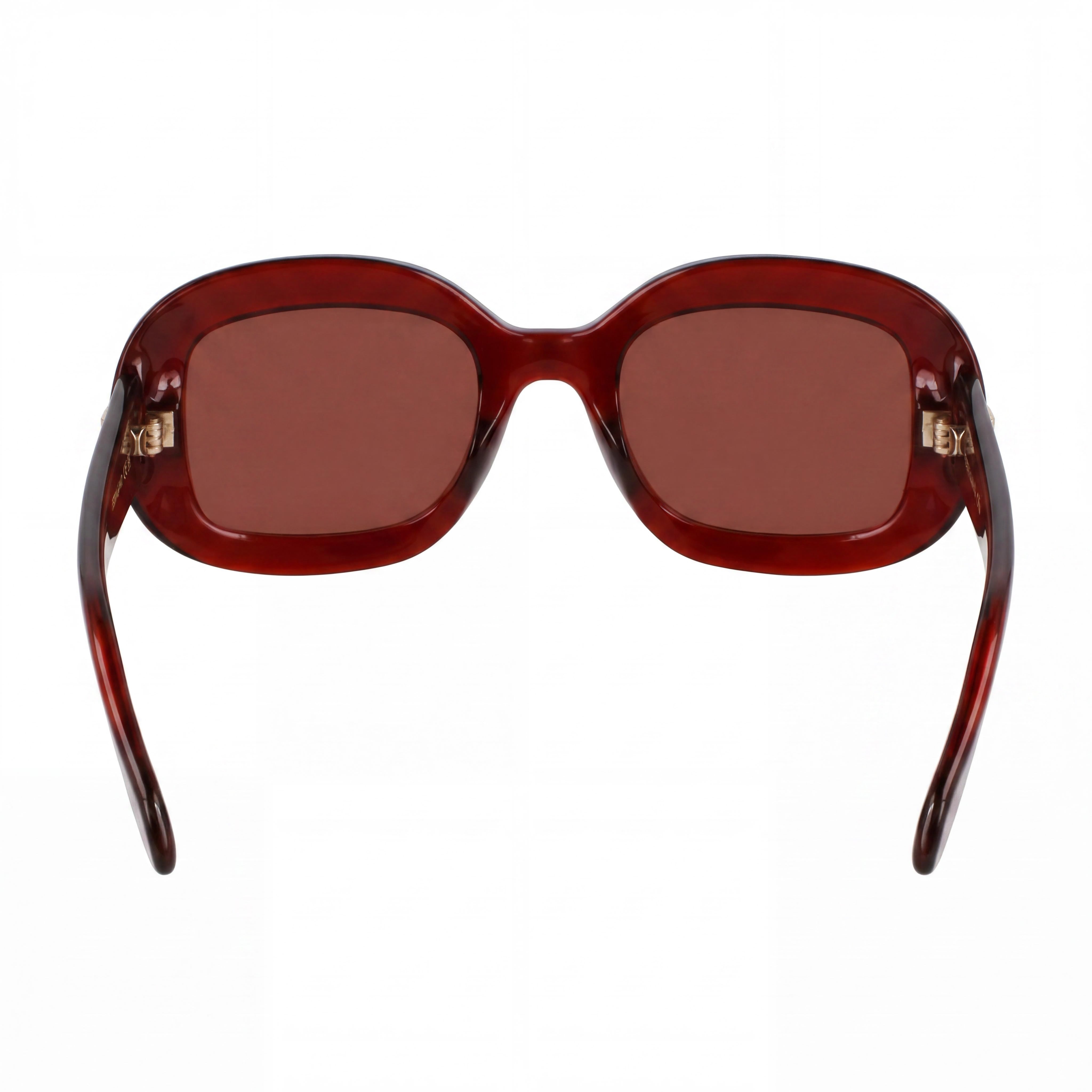 Ferragamo Sf2038se Unisex Eyeglasses, Transparent Rust Acetate Frame, Polycarbonate Lenses, 51mm, Photo 3