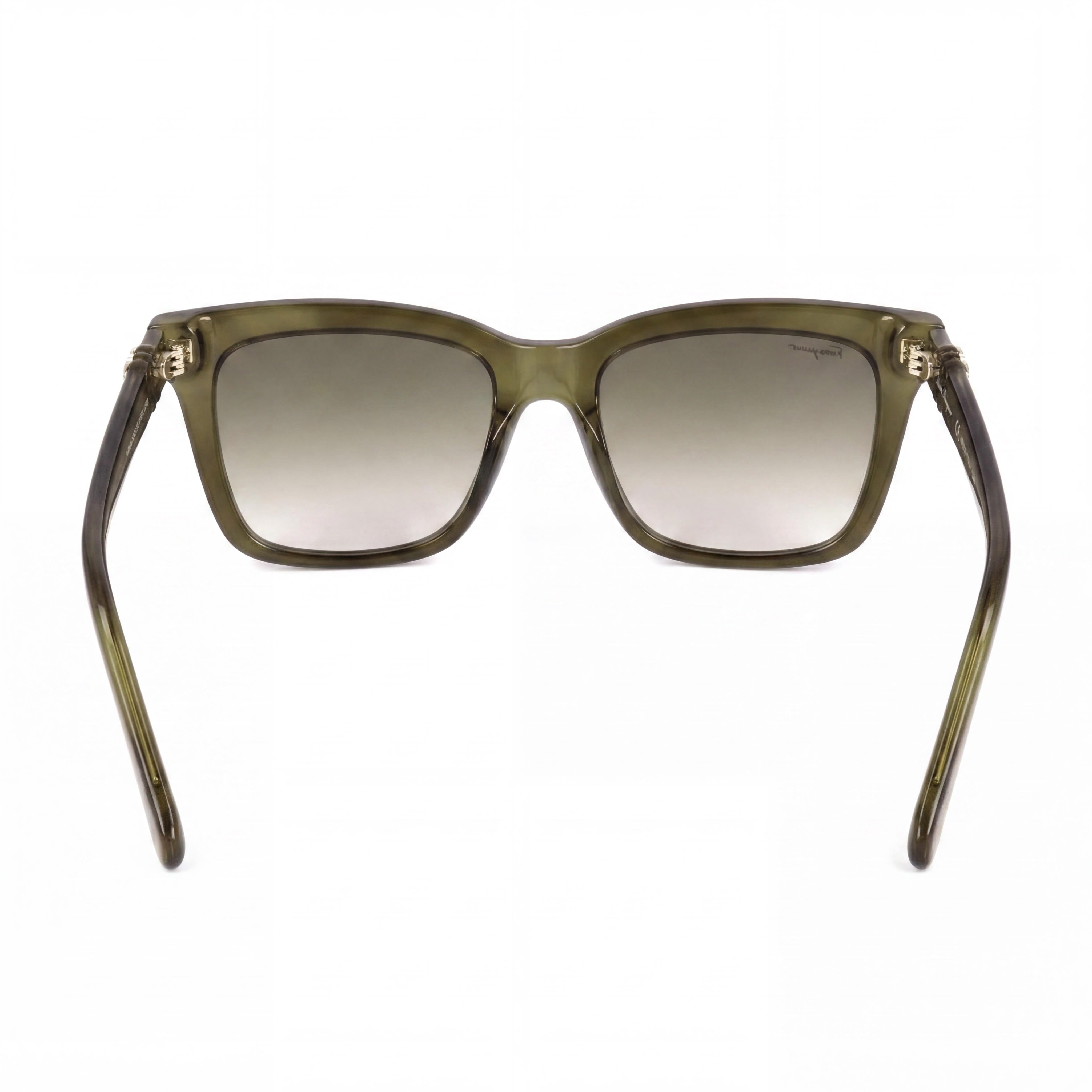 Salvatore Ferragamo Sf1027s Unisex Green Full Rim Plastic Frame Green Gradient Lens Eyewear 55-16-140, Photo 3