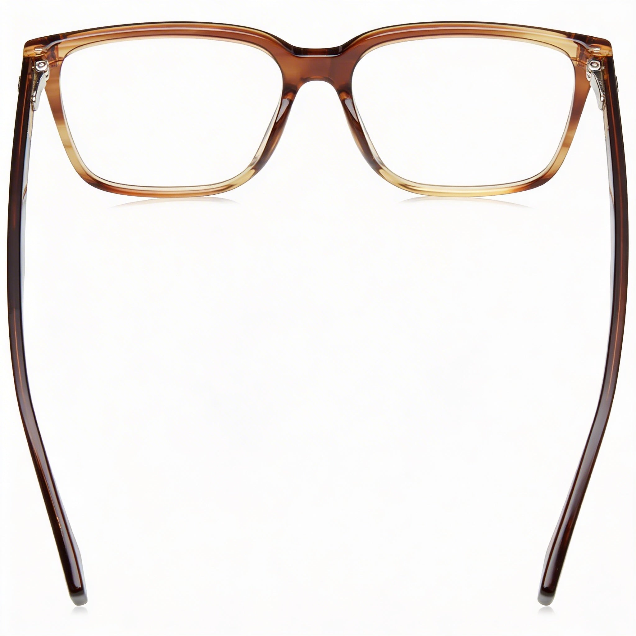 Hugo Boss 1480/F Striped Brown Ruthenium Plastic Unisex 55, Photo 2