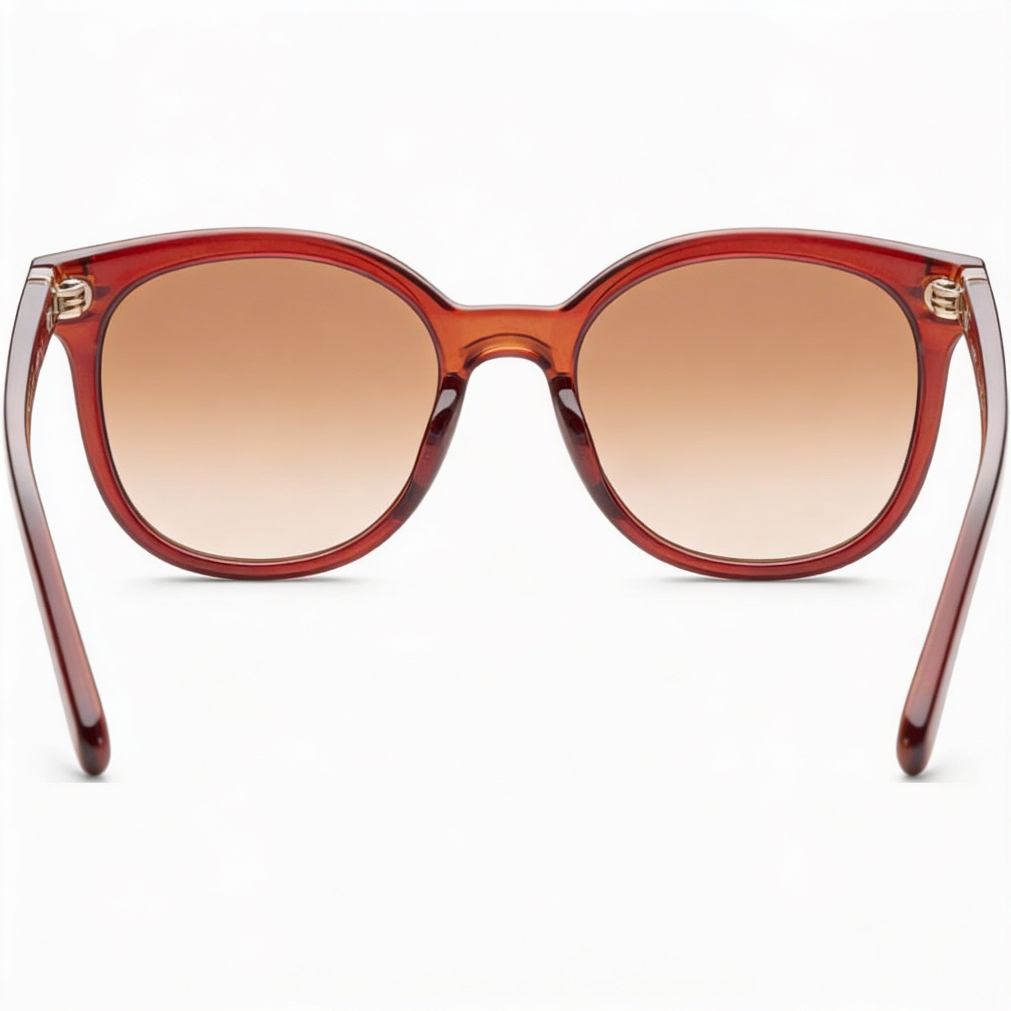 Salvatore Ferragamo Women's Classic Round Brown Crystal Plastic Brown Gradient UV Protection Sunglasses 53mm, Photo 3