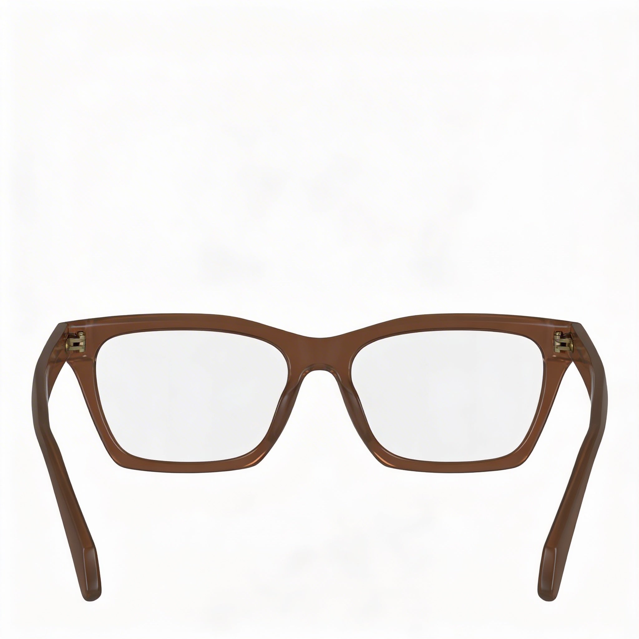 Salvatore Ferragamo Gafas de Hombre SF2986 de Acetato Transparente Marrón con Lentes de Policarbonato 53mm, Photo 4