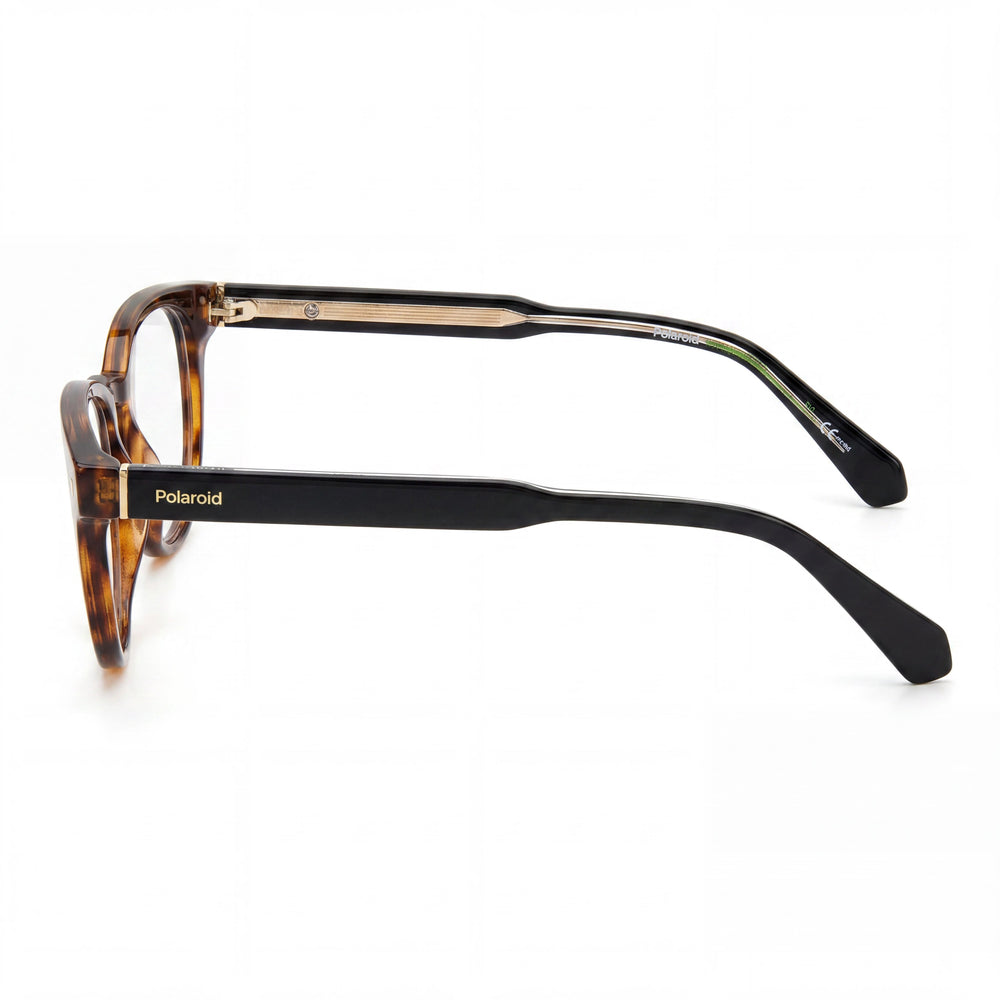 Gafas Polaroid Pld D445 para hombre, montura Havana inyectada con lentes de policarbonato Havana no polarizadas, 50 mm