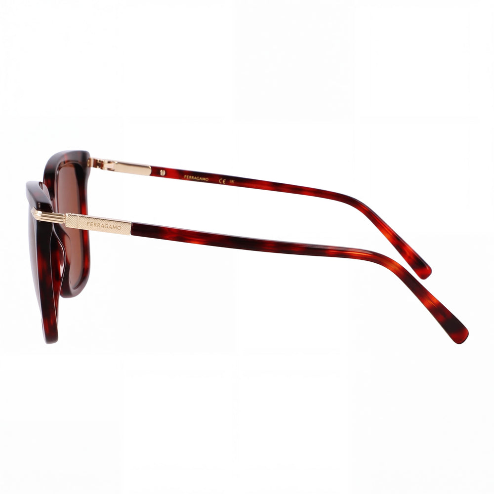 Ferragamo Sf2037s Women's Red Tortoise Acetate Frame Polycarbonate Non-Polarized UV 400 Sunglasses 56-18-145