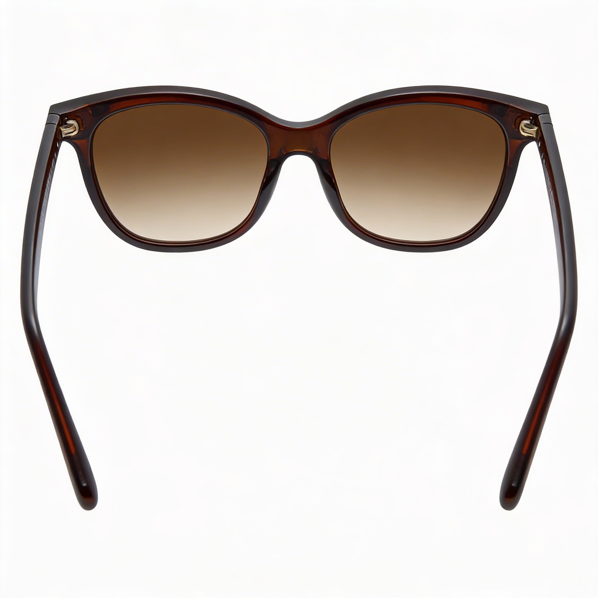 Salvatore Ferragamo SF834S Unisex Rectangular Crystal Wine Plastic Brown Gradient Non-Polarized Sunglasses, 55mm, Photo 3