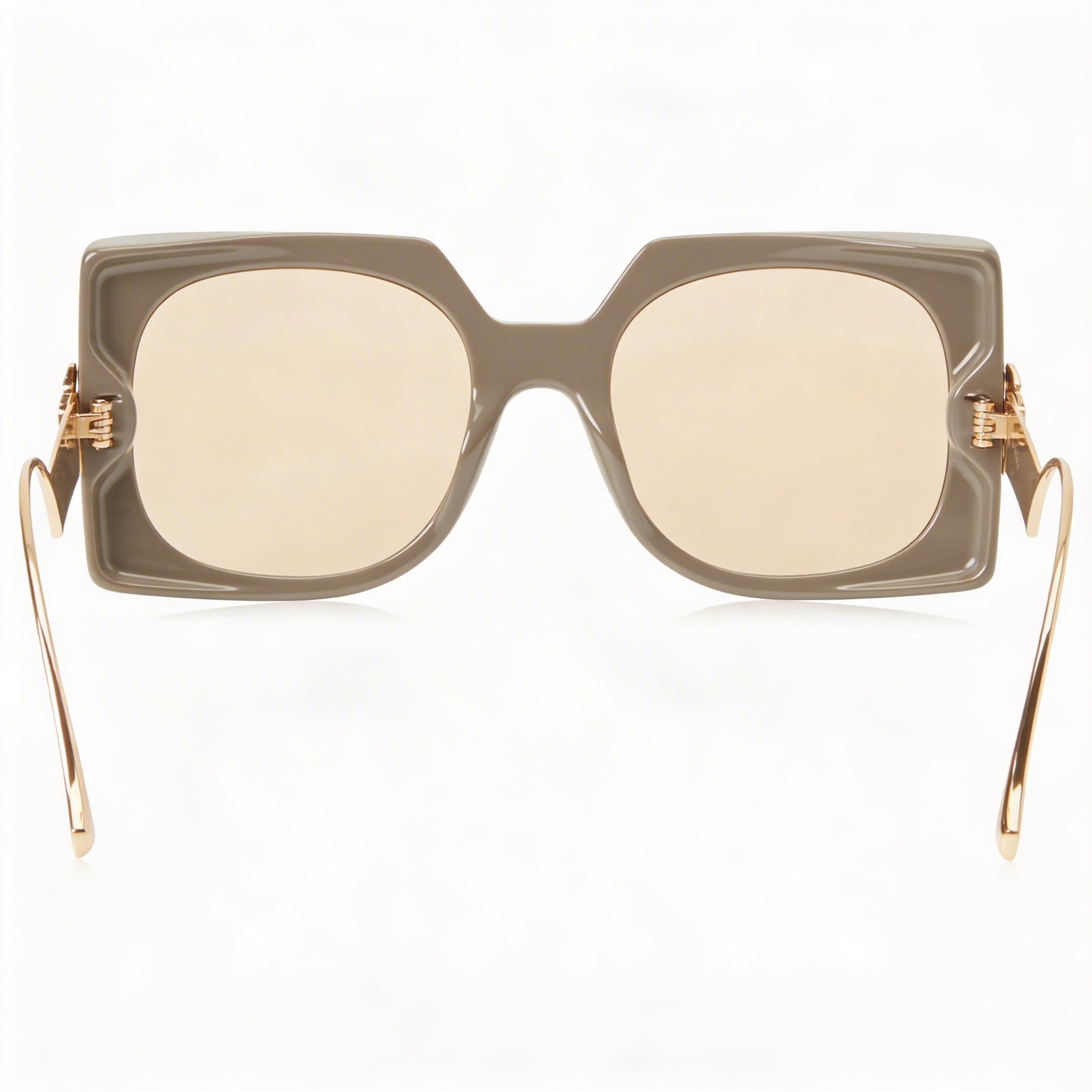 Etro Casual Women's Mud Acetate Frame Brown Polycarbonate Lens UV Protected Sunglasses 54-23-140, Photo 4