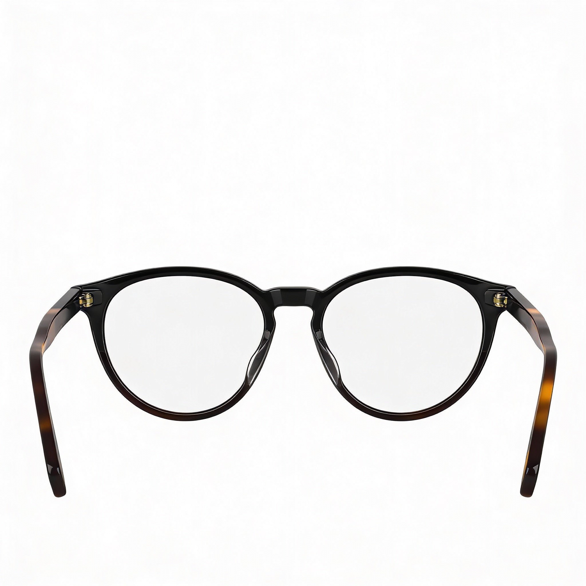 Longchamp Lo2752 - Gafas de sol redondas oftálmicas de 51 mm para mujer, color negro Havana, montura completa de plástico, Photo 3