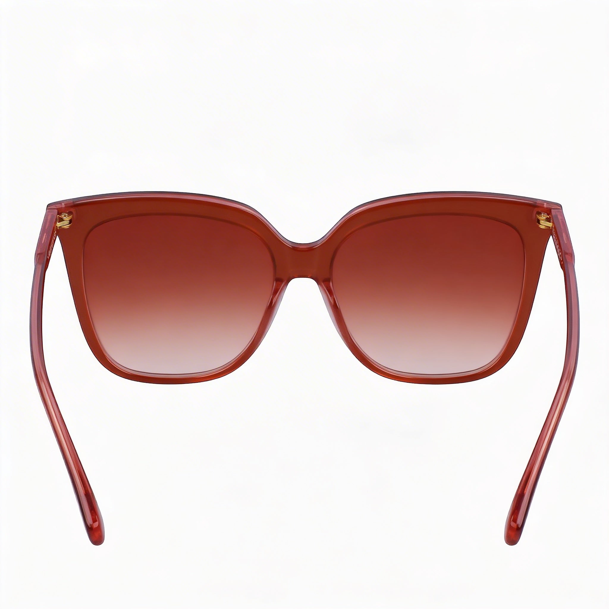 Longchamp Modern LO728S Women's Plastic Brown Rose Non-Polarized UV Protection Sunglasses 53mm, Photo 3