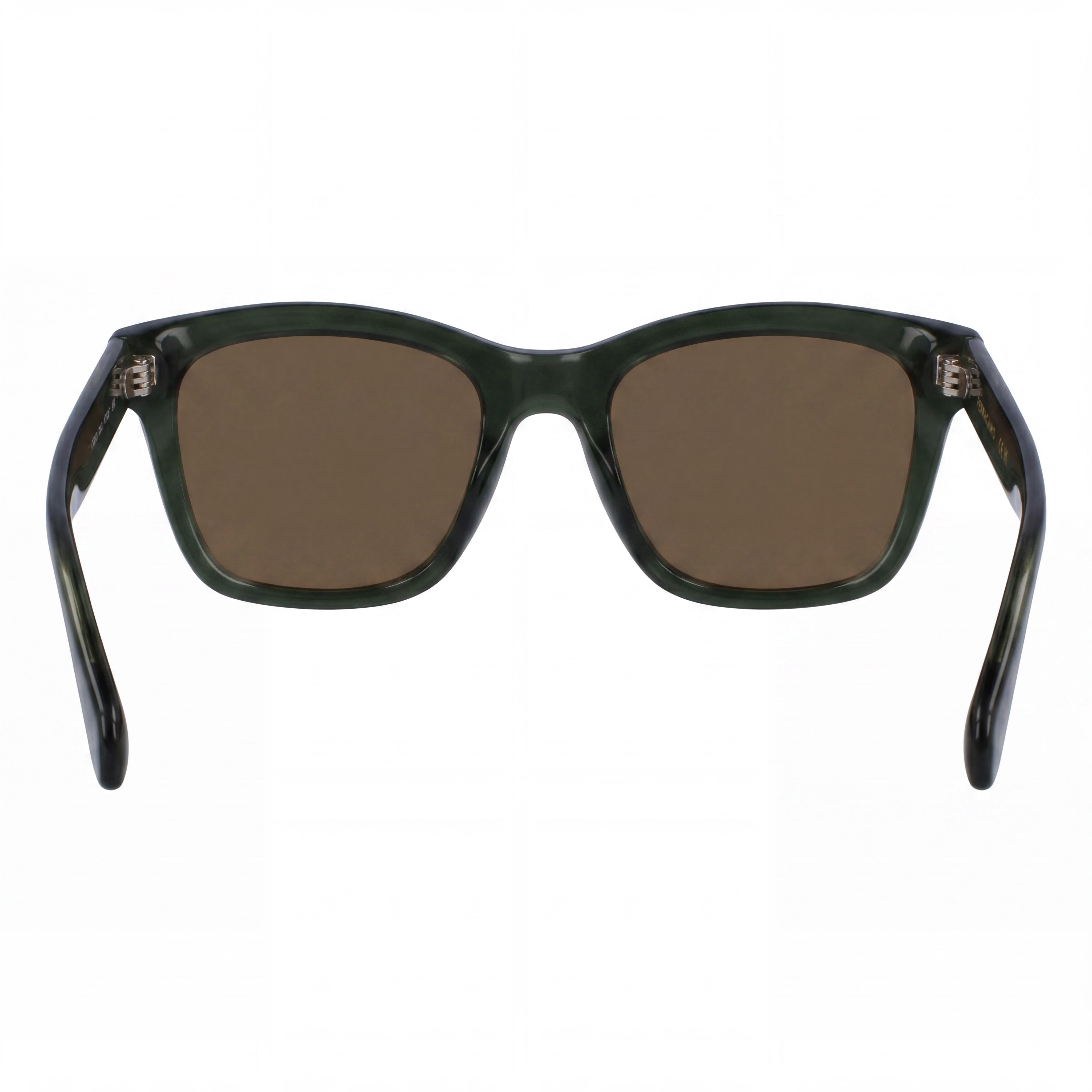 Salvatore Ferragamo Sf2001s Men's Plastic Polarized Sunglasses Transparent Khaki Green 54mm, Photo 4