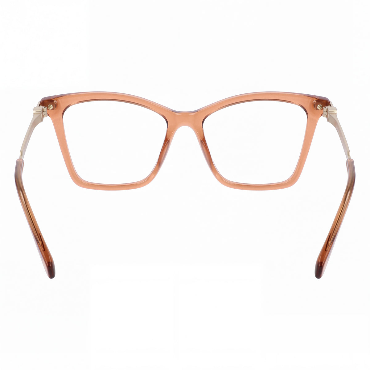 Salvatore Ferragamo Sf3024 Men's Transparent Brown Acetate Optical Eyeglasses with 53mm Lens Width, Photo 3