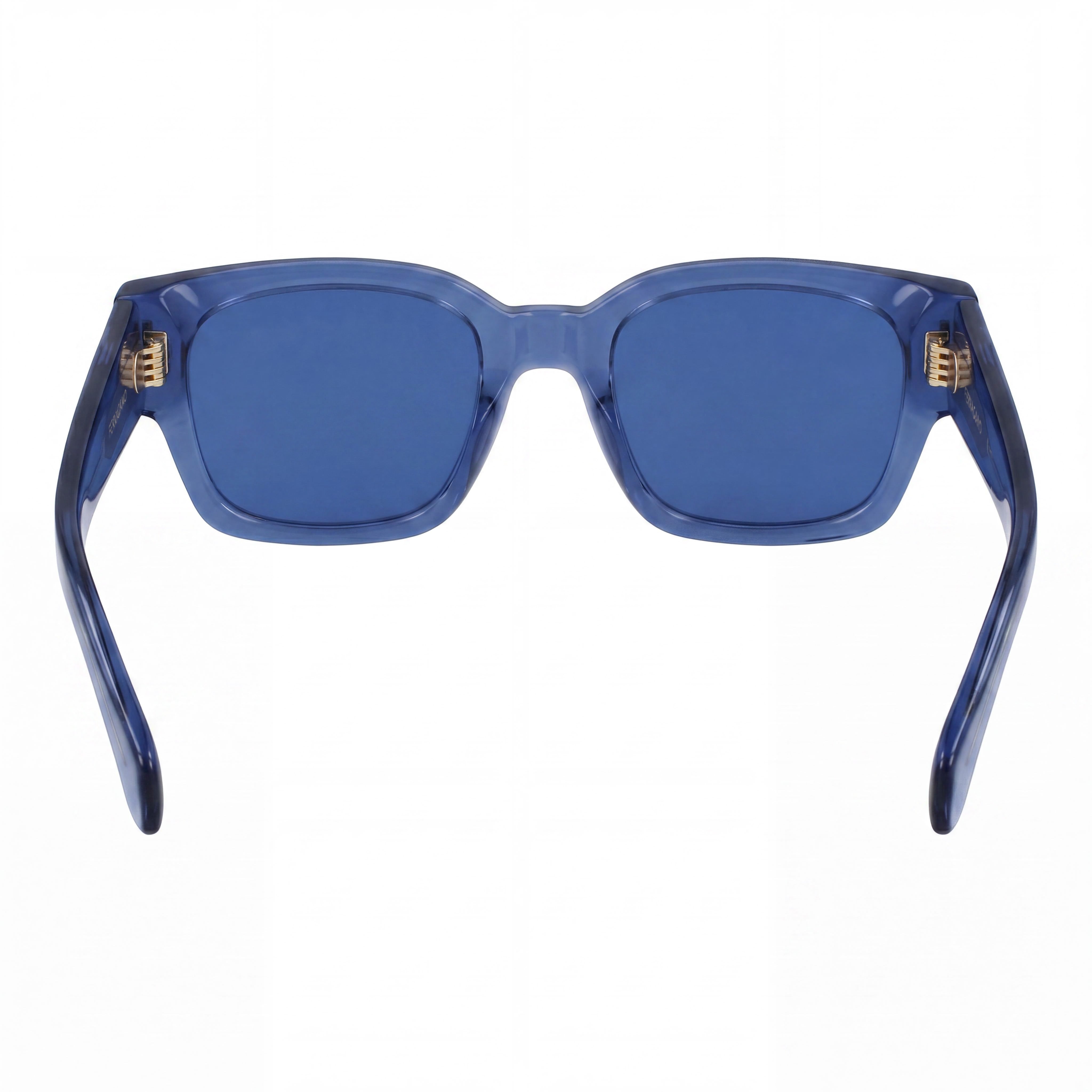 Salvatore Ferragamo Sf2010s Montura Unisex de Acetato Azul Transparente con Lentes Azules No Polarizadas con Protección UV de 52 mm, Photo 4