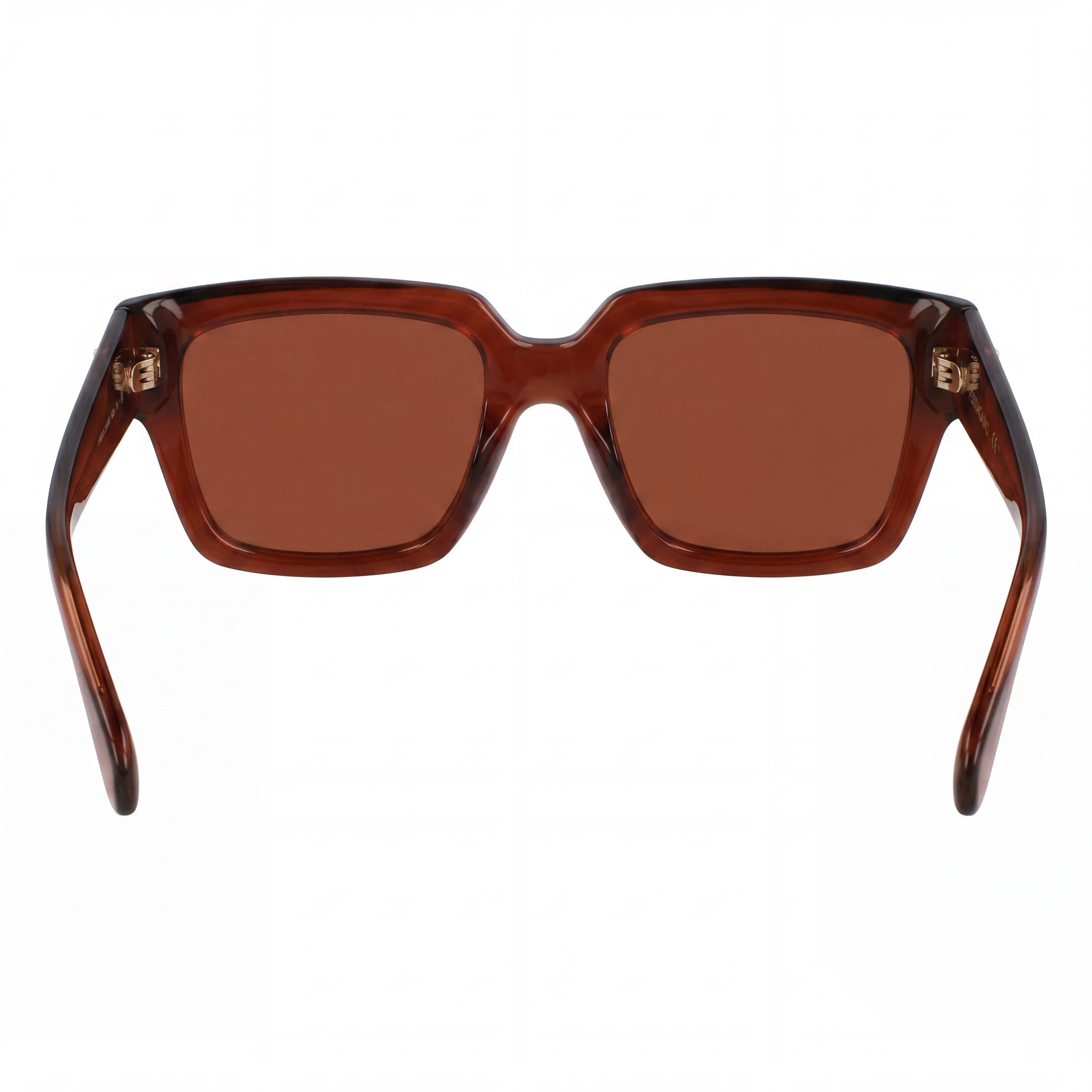 Gafas de sol de plástico transparente marrón para mujer Ferragamo Sf2014s, lentes de acetato marrón,, Photo 4