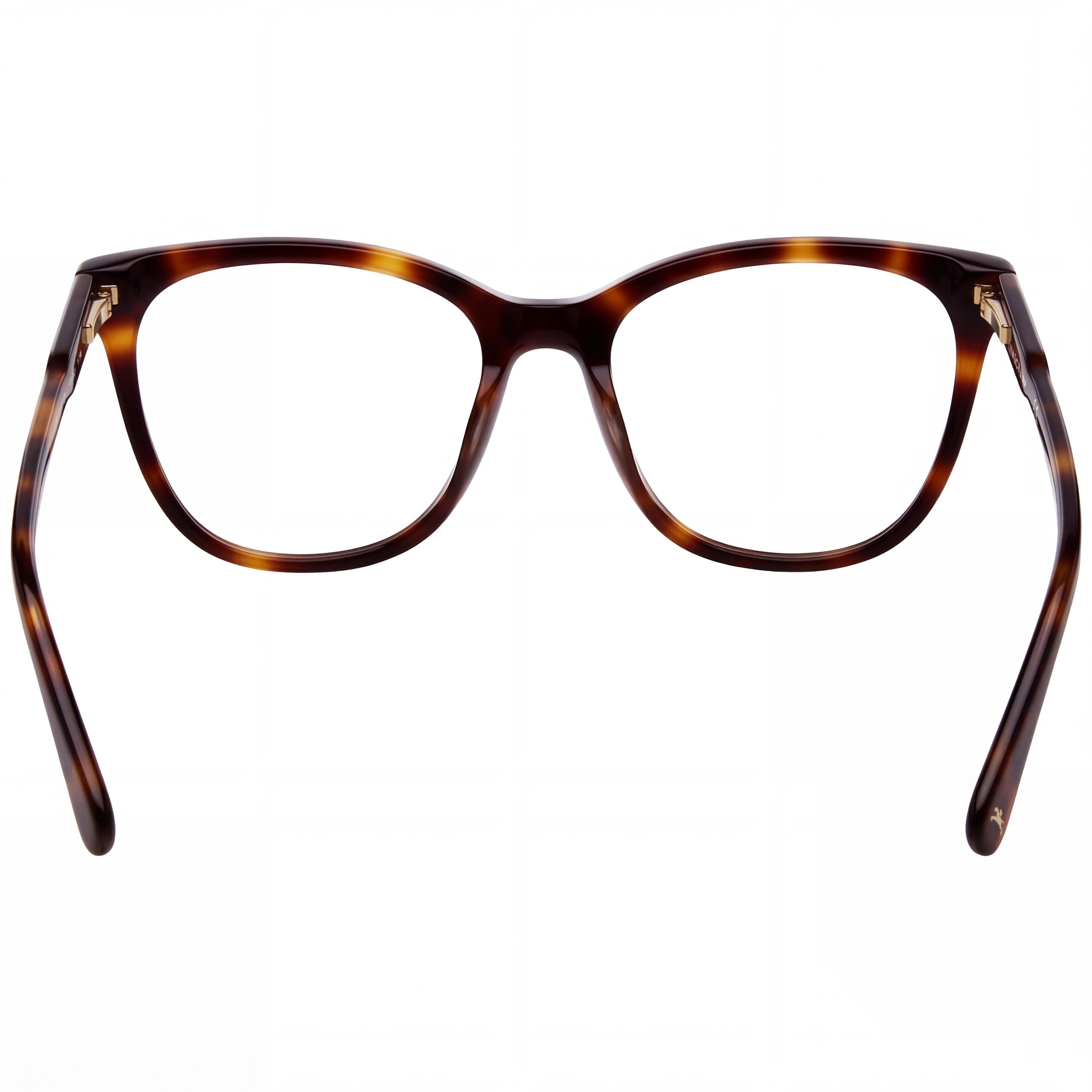 Longchamp Modern Women's Cat Eye Acetate Full Rim Eyeglasses Havana Frame Clear Non-Polarized Lens 54mm, Photo 2