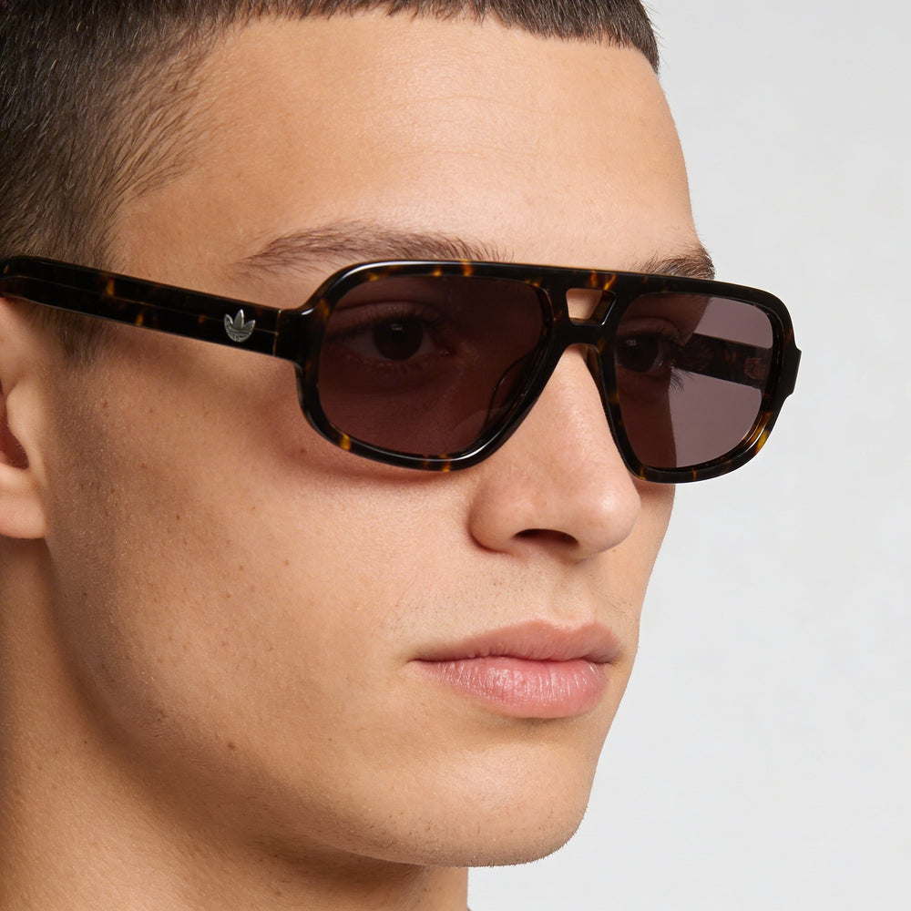 Gafas de sol Adidas Originals Classic para hombre en acetato Havana oscuro de 55 mm