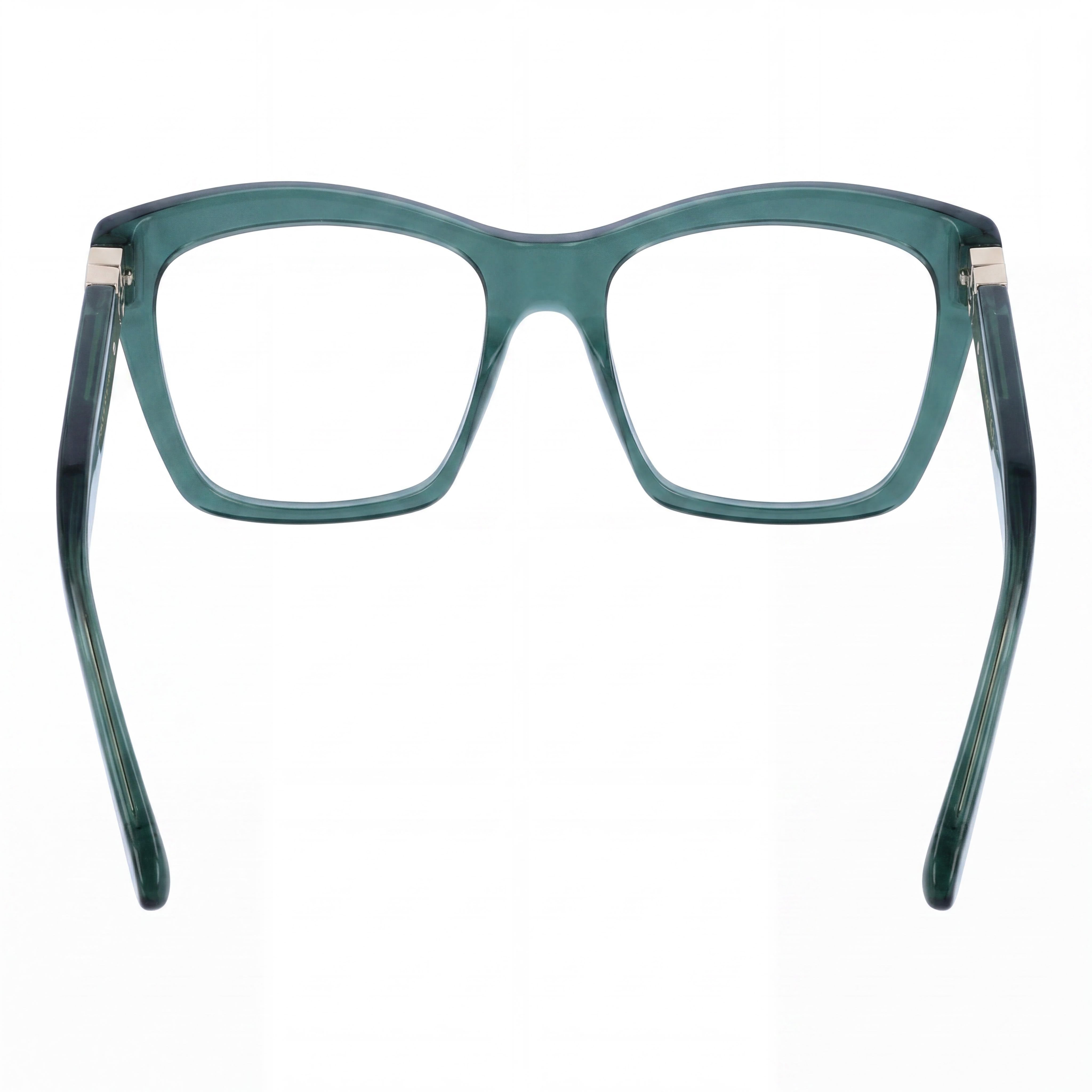 Gafas Ferragamo Sf3022 para hombre, montura de acetato transparente color caqui, lente de 53 mm, puente de 17 mm, patilla de 140 mm, Photo 4