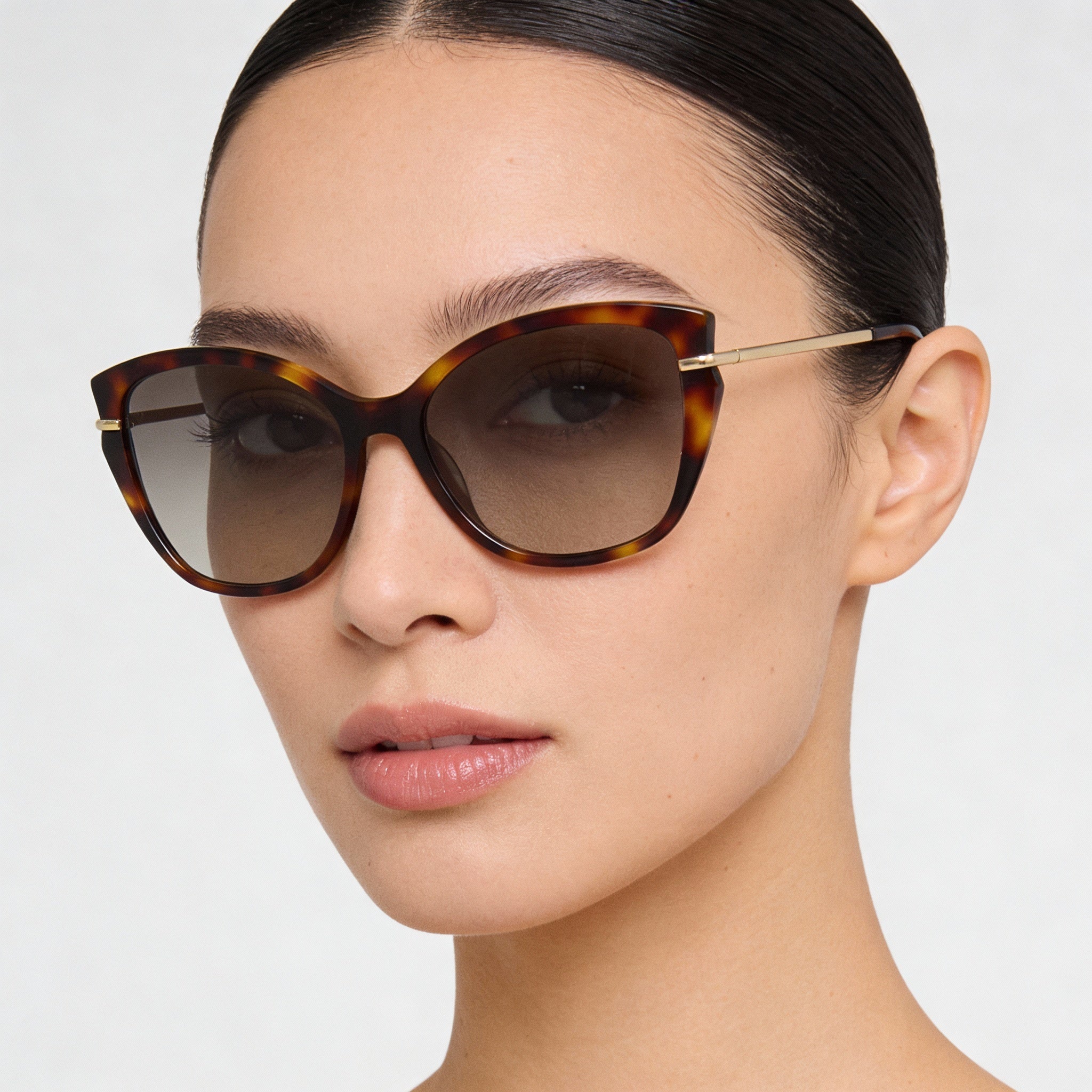 Longchamp LO627S Women's Butterfly Havana Plastic Frame Brown Gradient 100% UV Protection Sunglasses 57mm, Photo 5