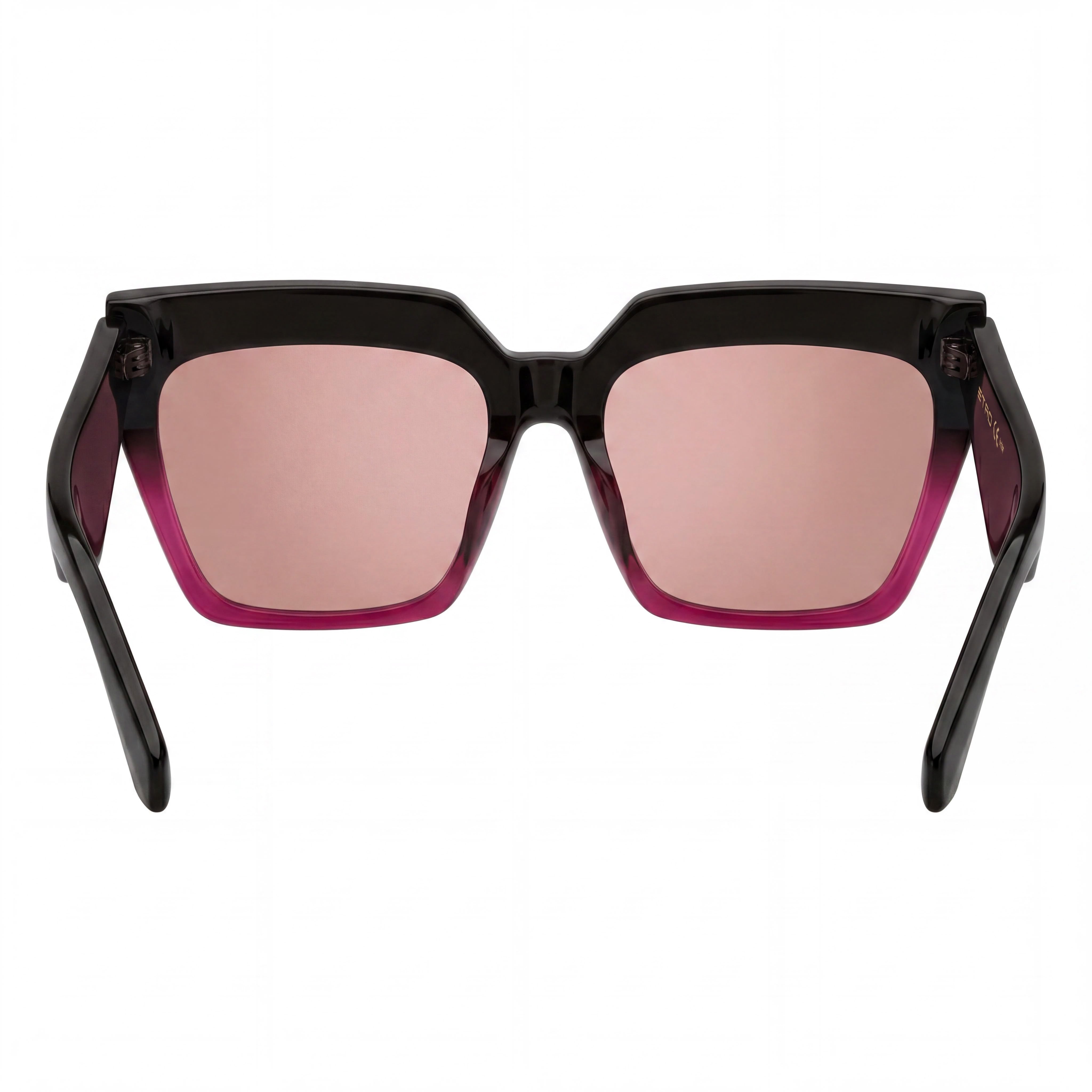 Etro Casual Women's Acetate Non-Polarized Sunglasses Brown Fuchsia Pink Flash Silver Lenses 58mm, Photo 4