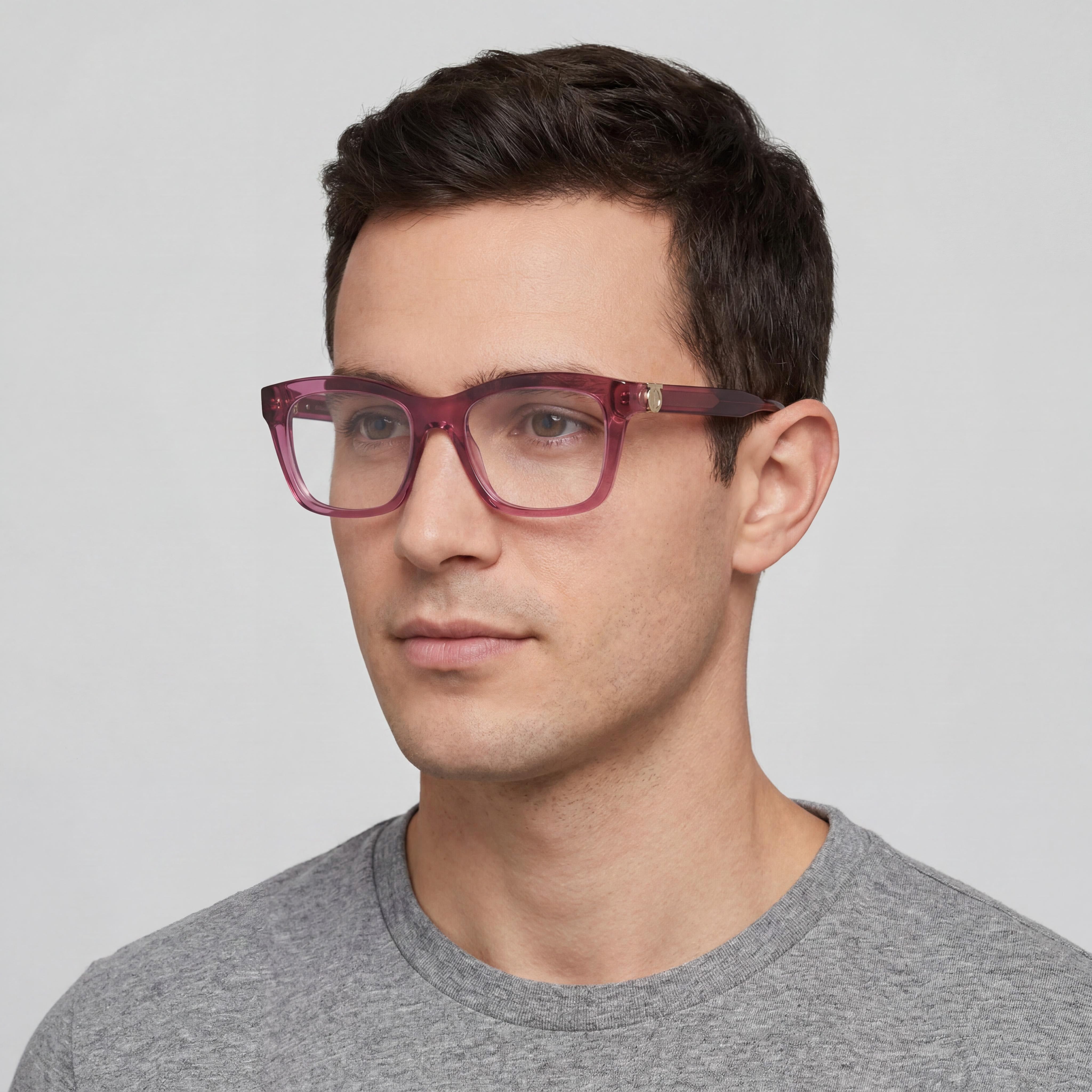 Ferragamo Sf3022 Men's Transparent Wine Acetate Frame, Polycarbonate Eyewear 53mm, Photo 4