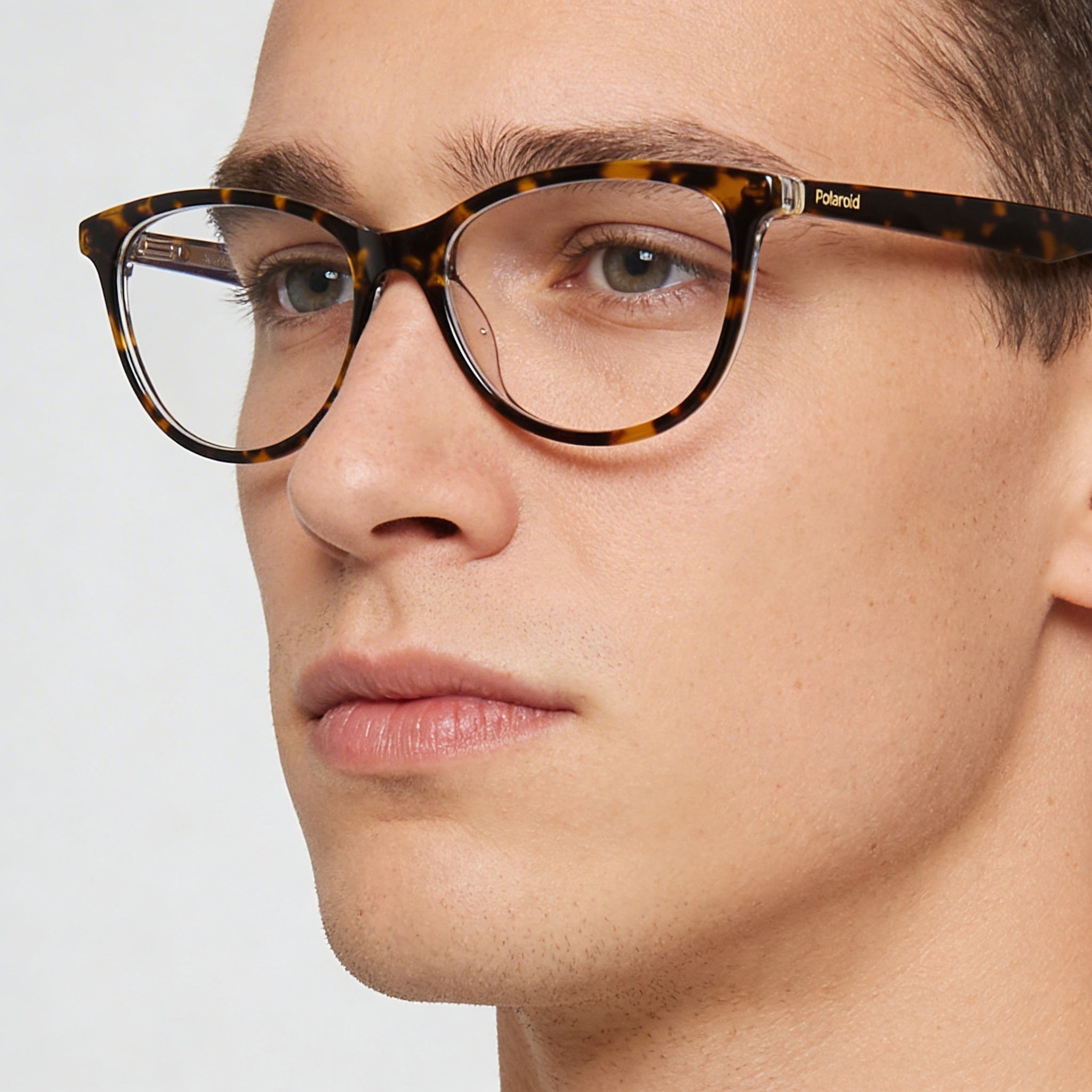 Polaroid Pld D395 Men's Havana Crystal Plastic Eyeglasses 52mm, Photo 4
