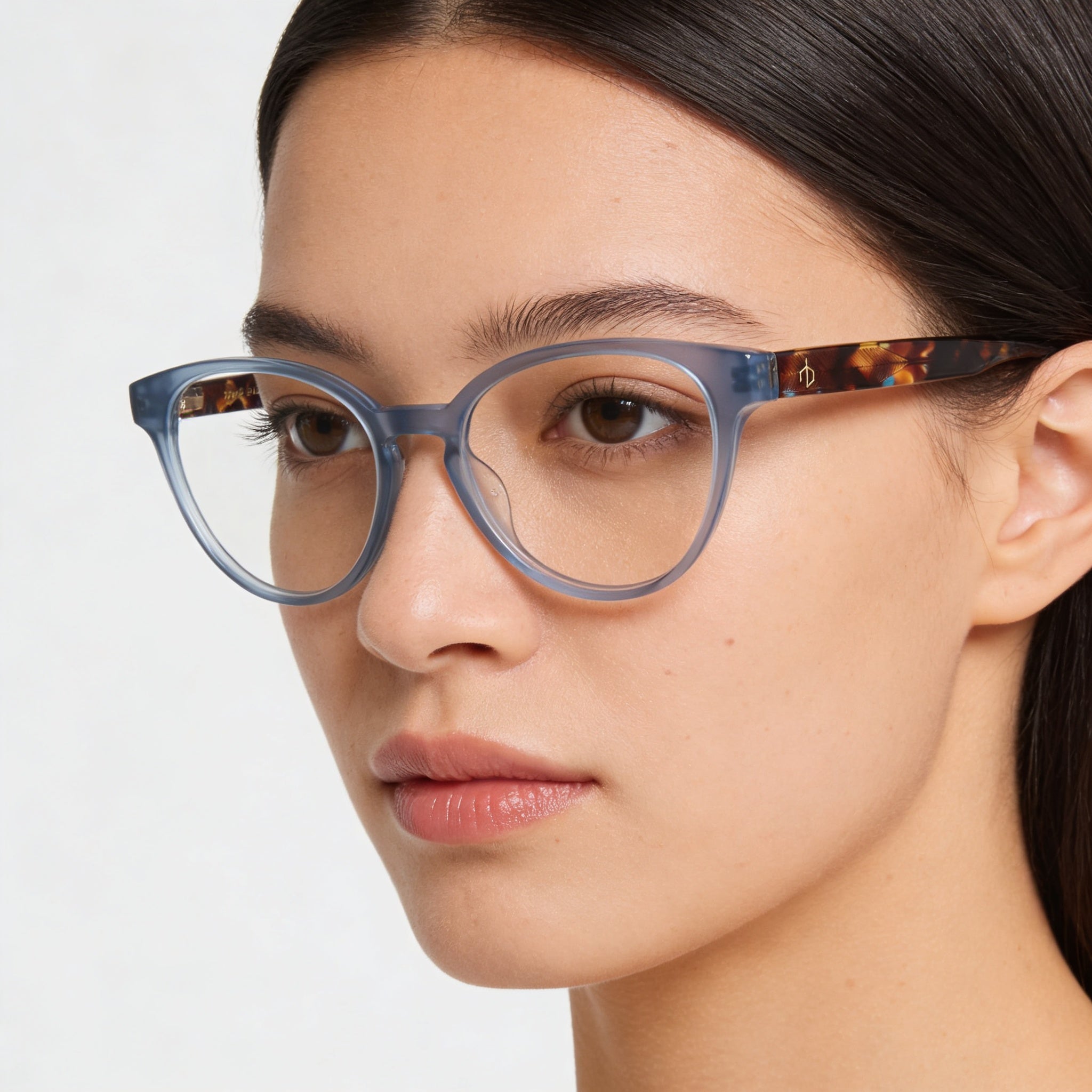 rag & bone Modern Women's Acetate Blue Non-Polarized Eyewear 51mm, Photo 5