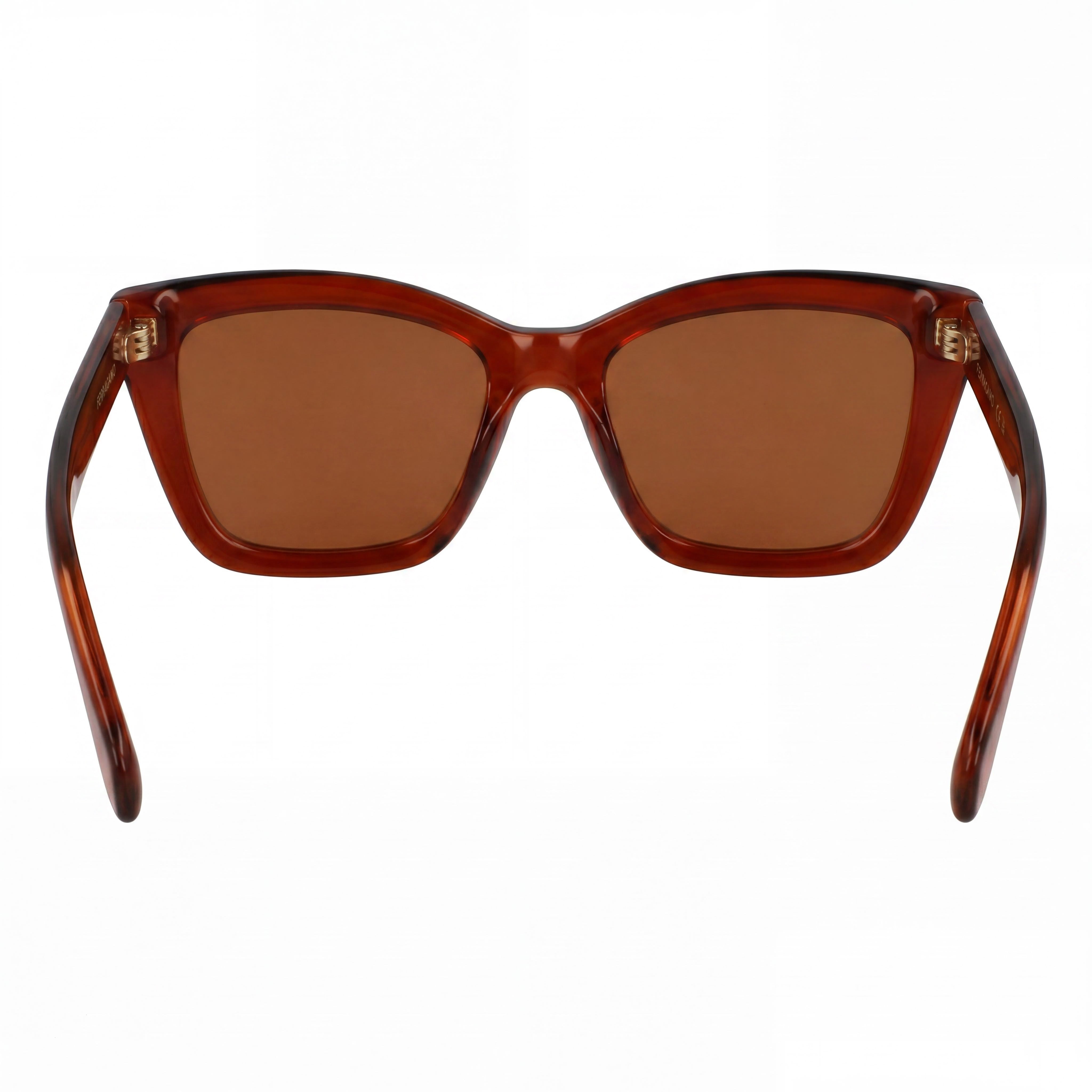 Ferragamo Sf2039se Women's Acetate Transparent Rust Sunglasses with UV 400 Solid Brick Lenses 53mm, Photo 4