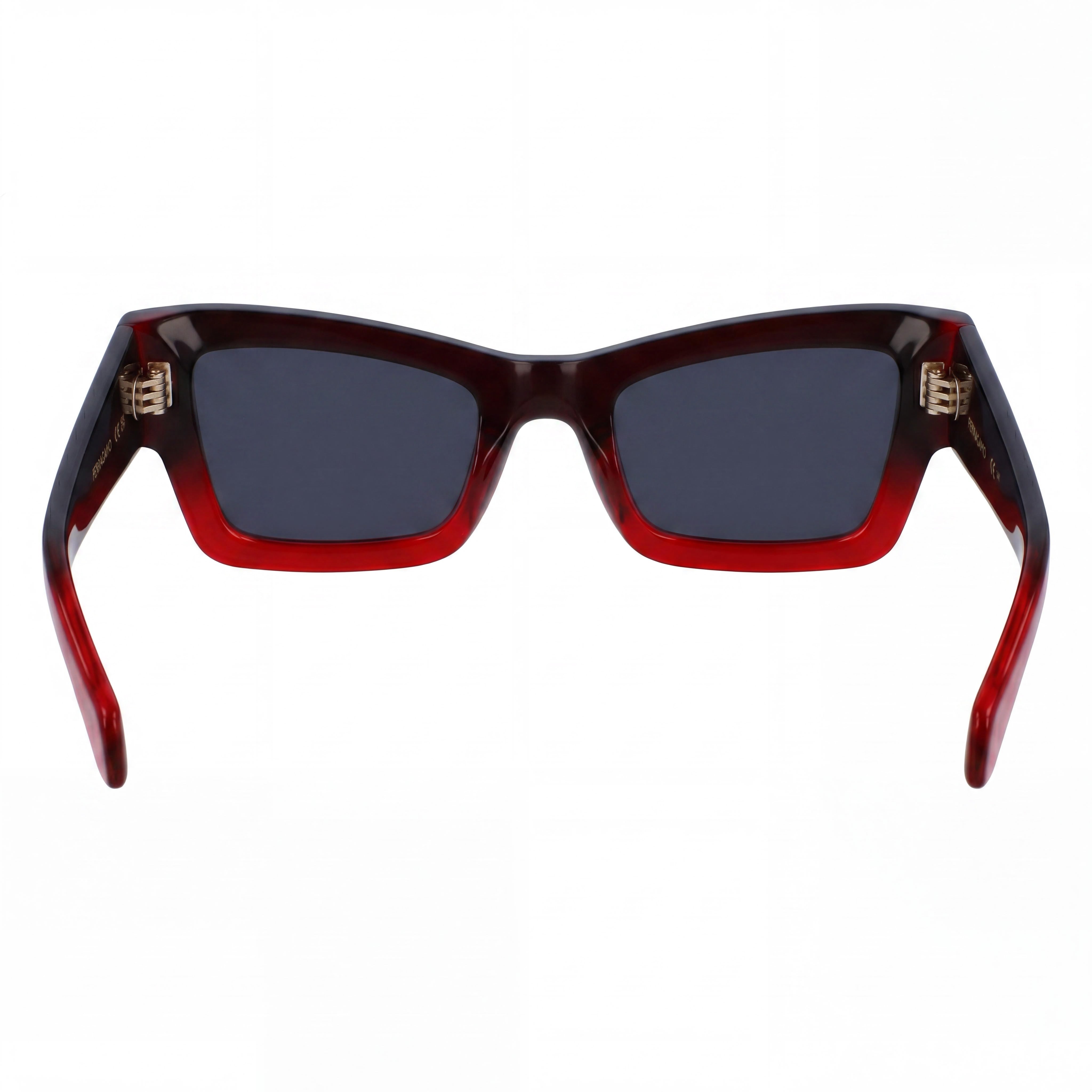 Salvatore Ferragamo Sf2006s Unisex Plastic Sunglasses, Gradient Transparent Dark Red, 53mm, UV Protection, Non-Polarized, Photo 4