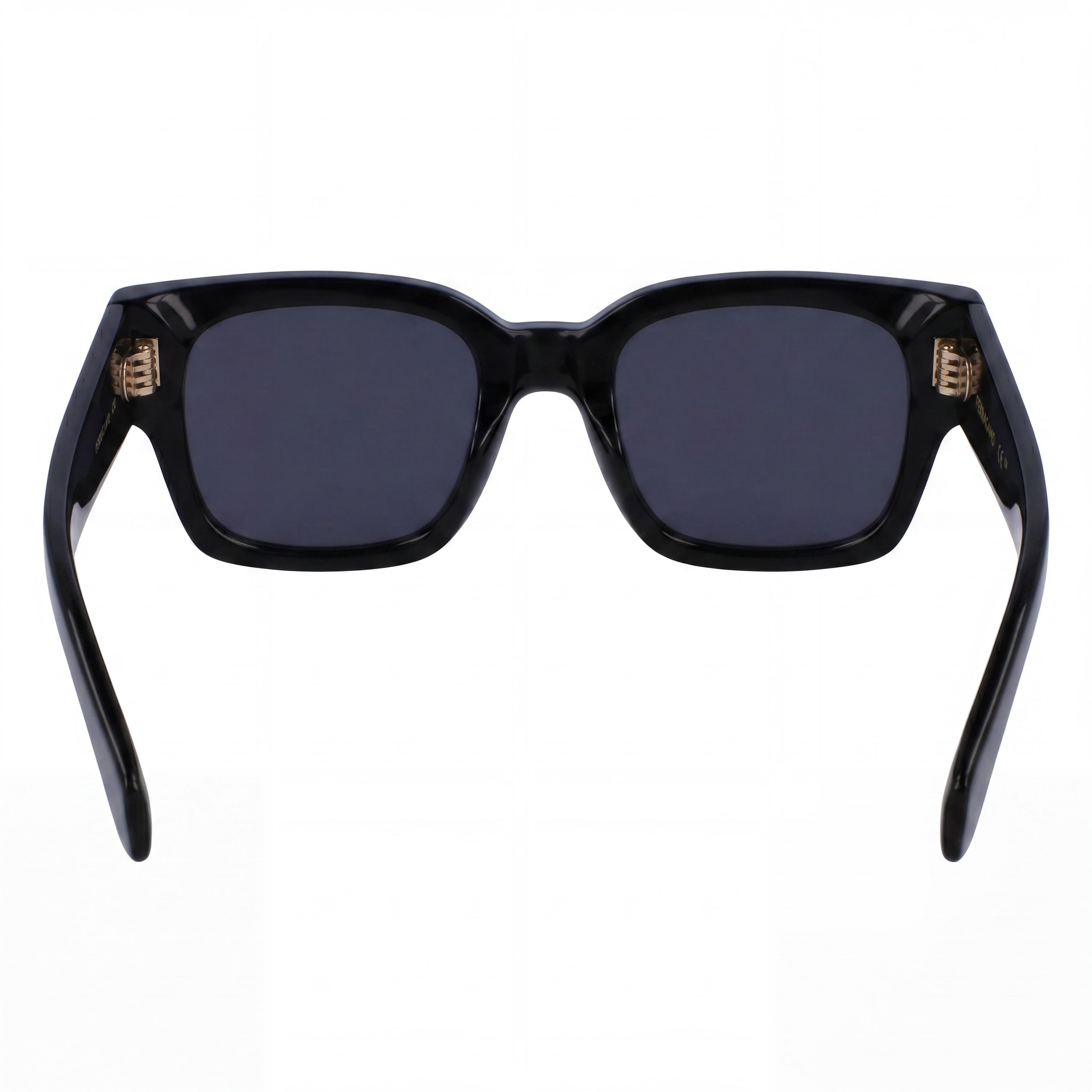 Salvatore Ferragamo SF2010S Men's Black Acetate Frame UV 400 Protection Polycarbonate Lens Sunglasses 52mm, Photo 4
