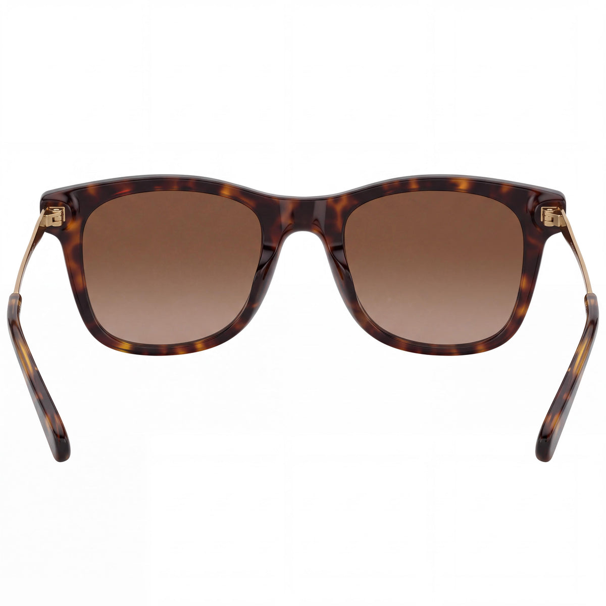 Coach Hc8290 Women's Dark Tortoise Plastic Square Sunglasses with 100% UV Protection, 50mm Lens, Photo 3