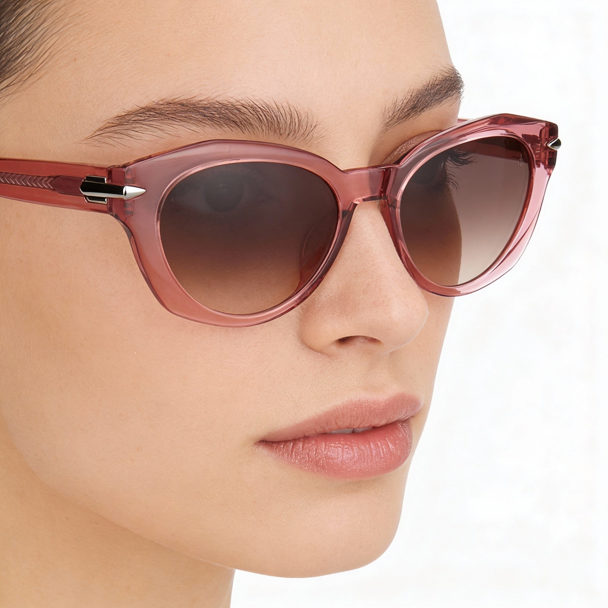 Gafas de sol informales Rag & Bone para mujer con montura de acetato rosa y lentes marrones 53-19-140, Photo 4