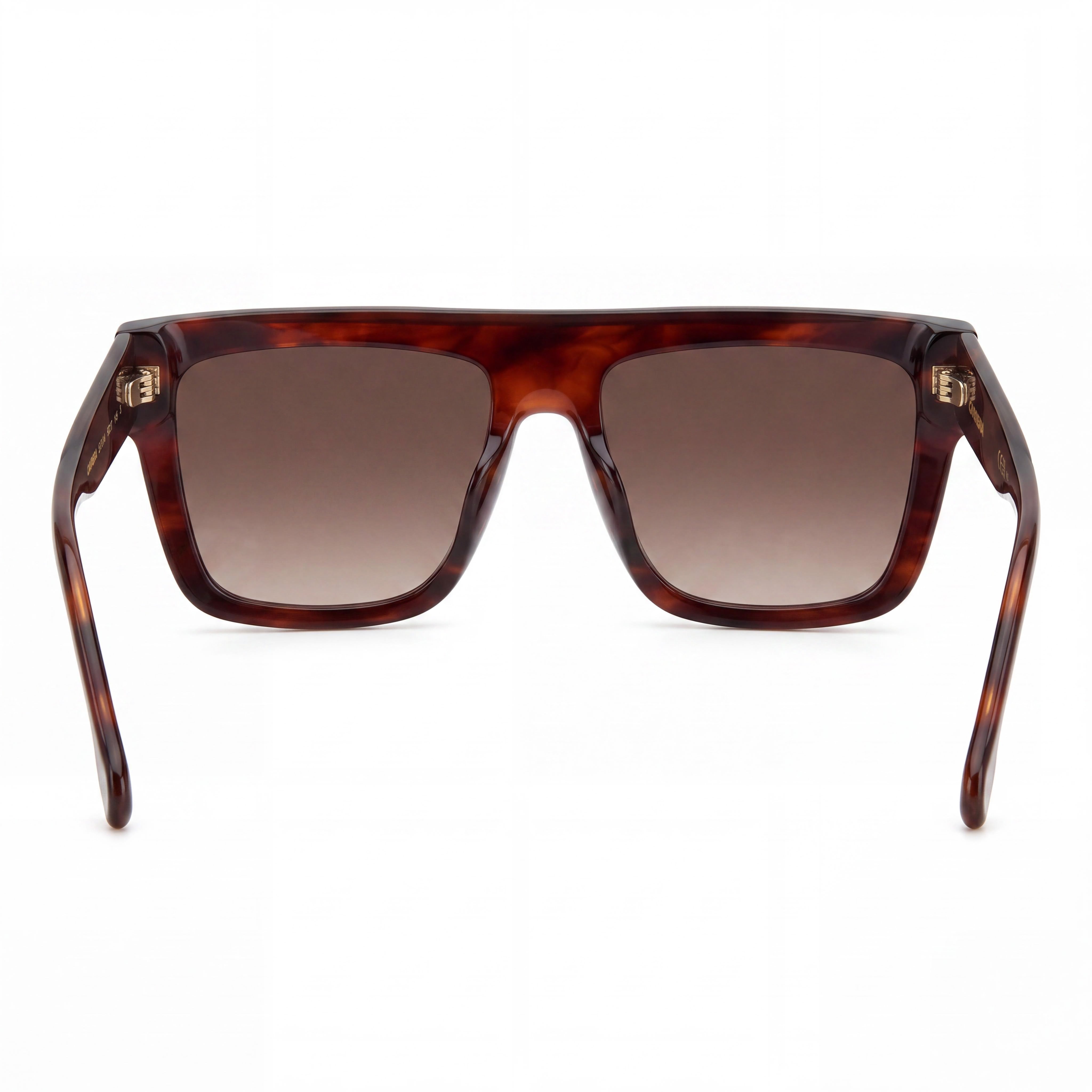 Carrera 3016/S Women's Brown Horn Polycarbonate Frame 55mm Non-Polarized UV Protection Sunglasses, Photo 4