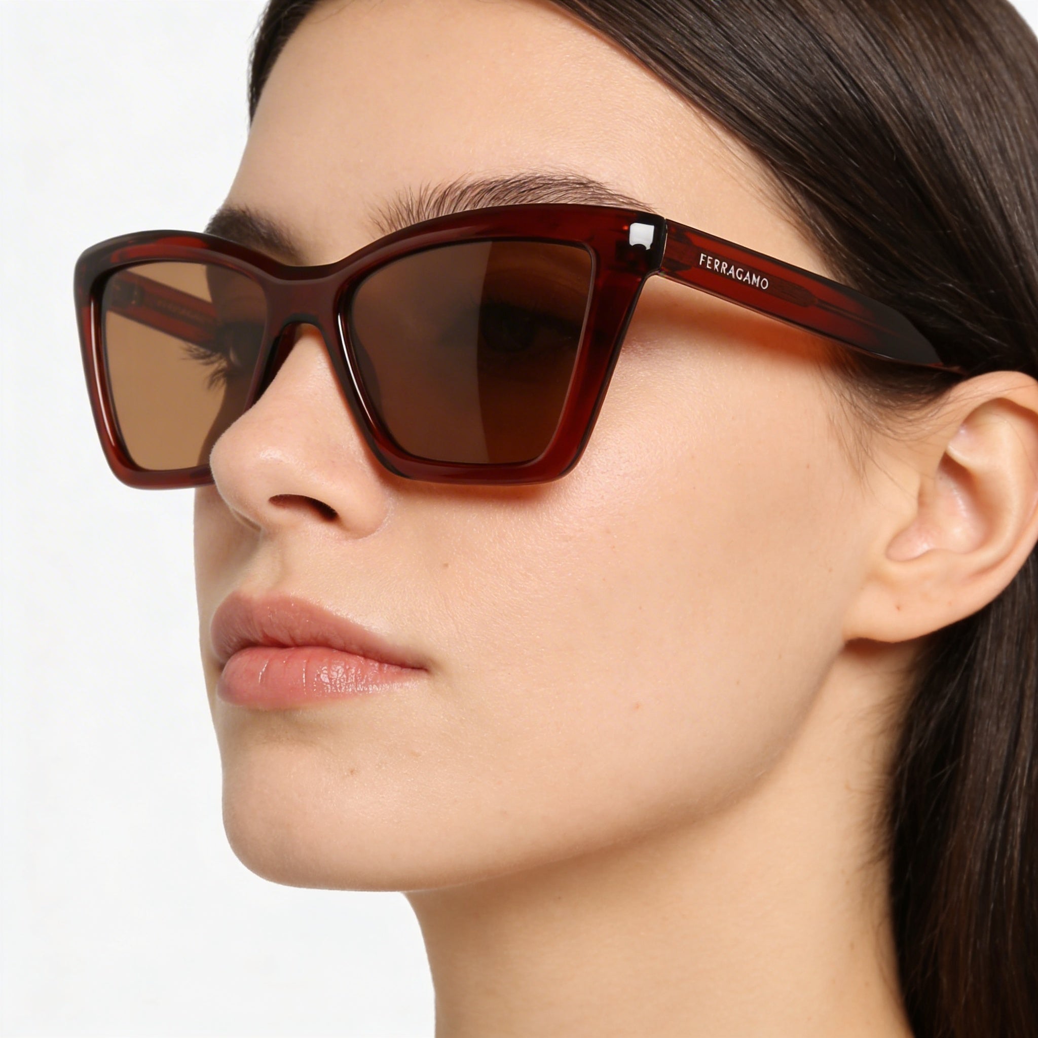 Ferragamo Women's Sf2039se Acetate Transparent Rust Non-Polarized UV 400 Eyewear 53-17-145, Photo 4