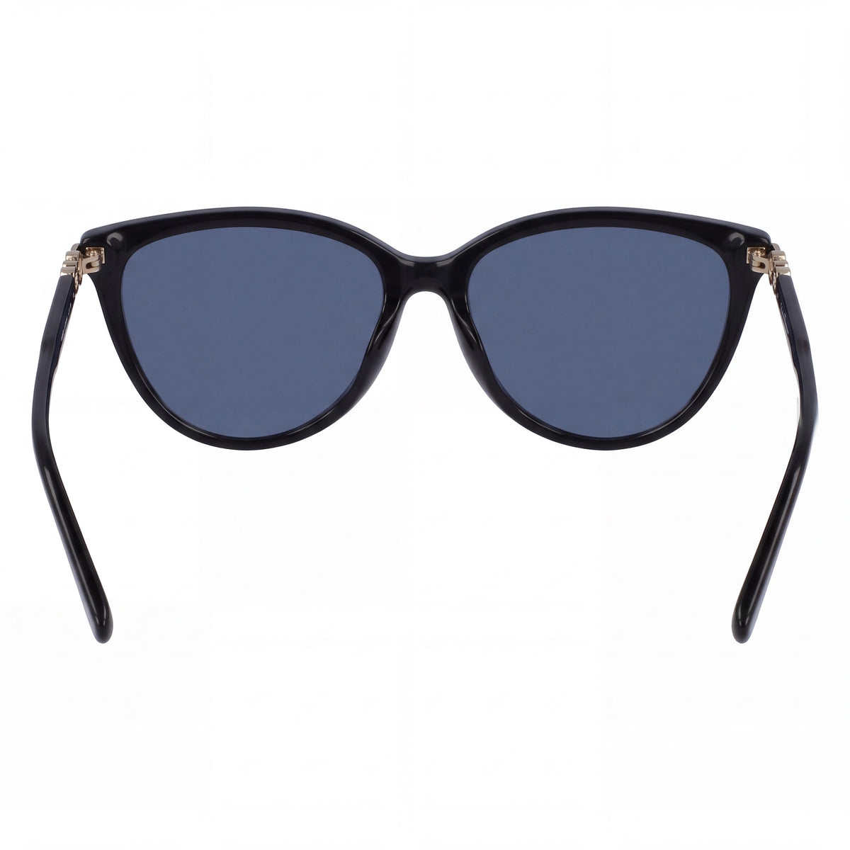 Salvatore Ferragamo Timeless-sf2870sl Unisex Black Plastic Frame Polycarbonate Lens UV Protection Sunglasses 55mm, Photo 3