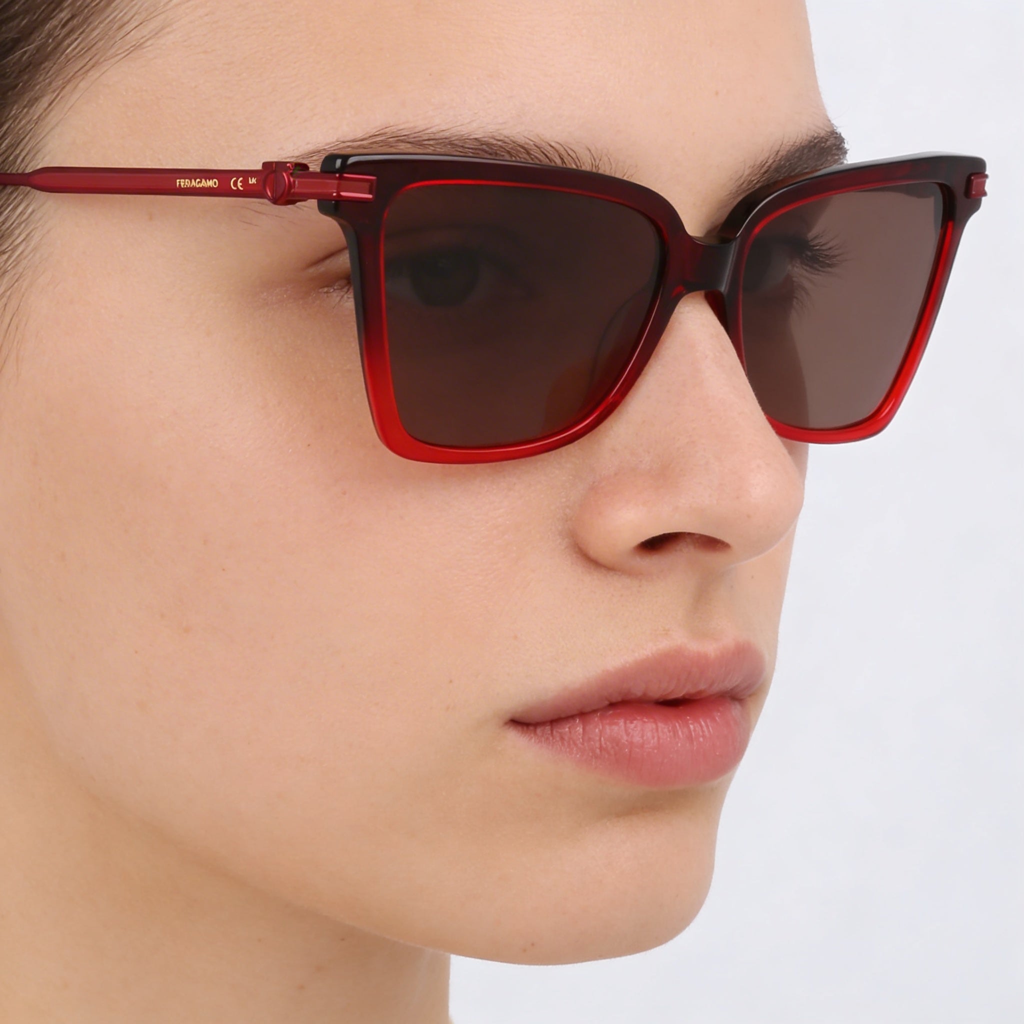 Ferragamo Sf2036s Unisex Butterfly Acetate Frame Sunglasses Gradient Transparent Dark Red 56mm, Photo 5