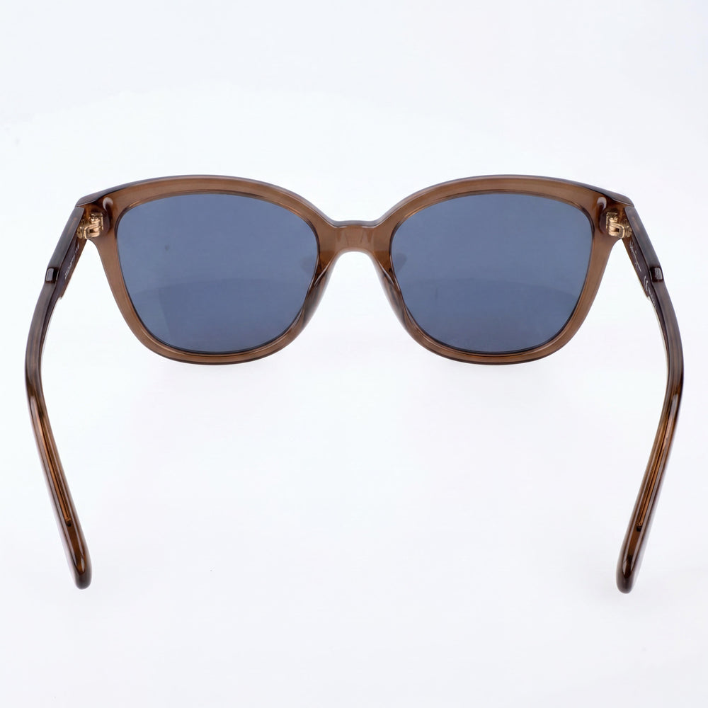 Salvatore Ferragamo Contemporary Women's Brown Acetate Square UV Protection Blue Lens 56mm Sunglasses