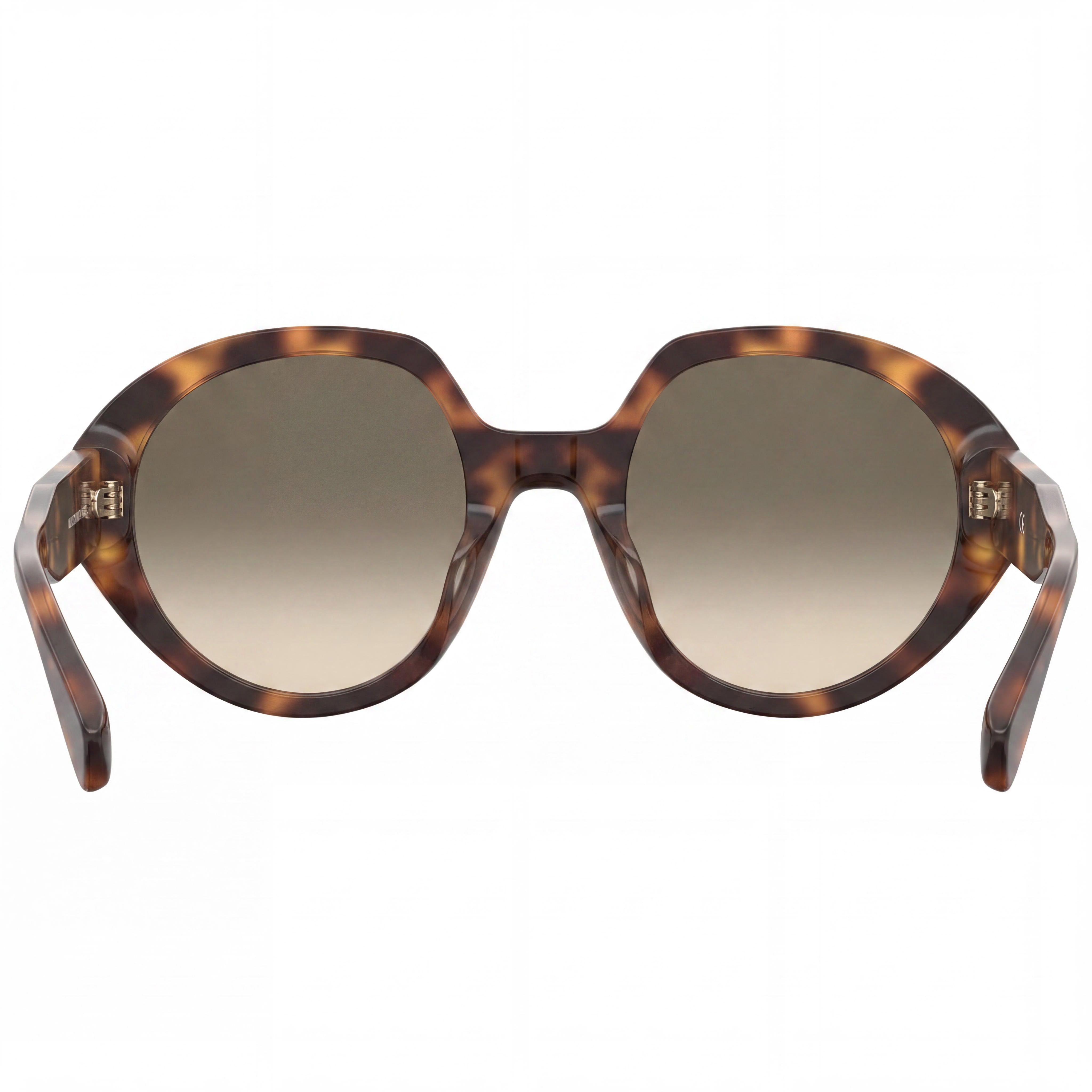 Gafas de sol Moschino Casual para mujer, montura de acetato, lentes de policarbonato, color Havana, sin polarizar, con protección UV, 53 mm, Photo 4