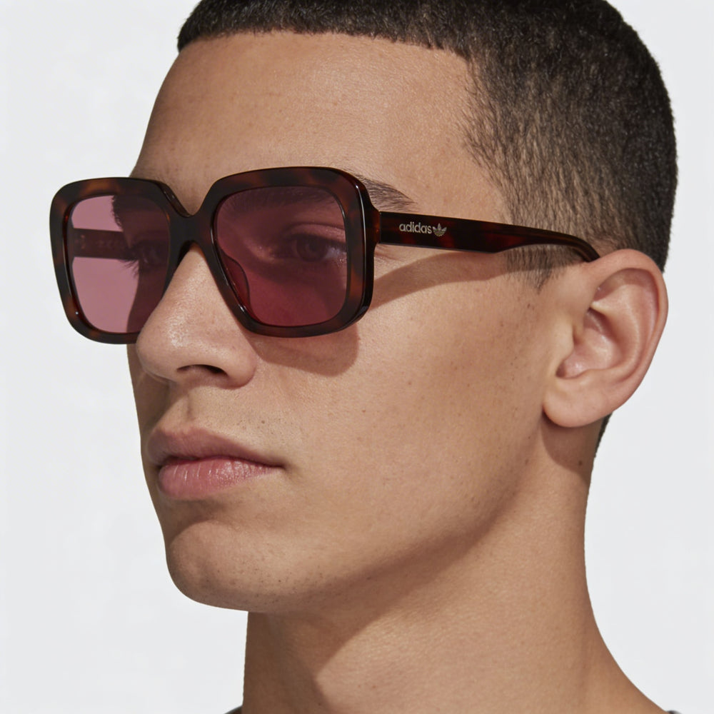 Gafas Adidas Originals Modern de hombre con armazón de acetato Habana Claro y lentes con protección UV 56-18-140mm
