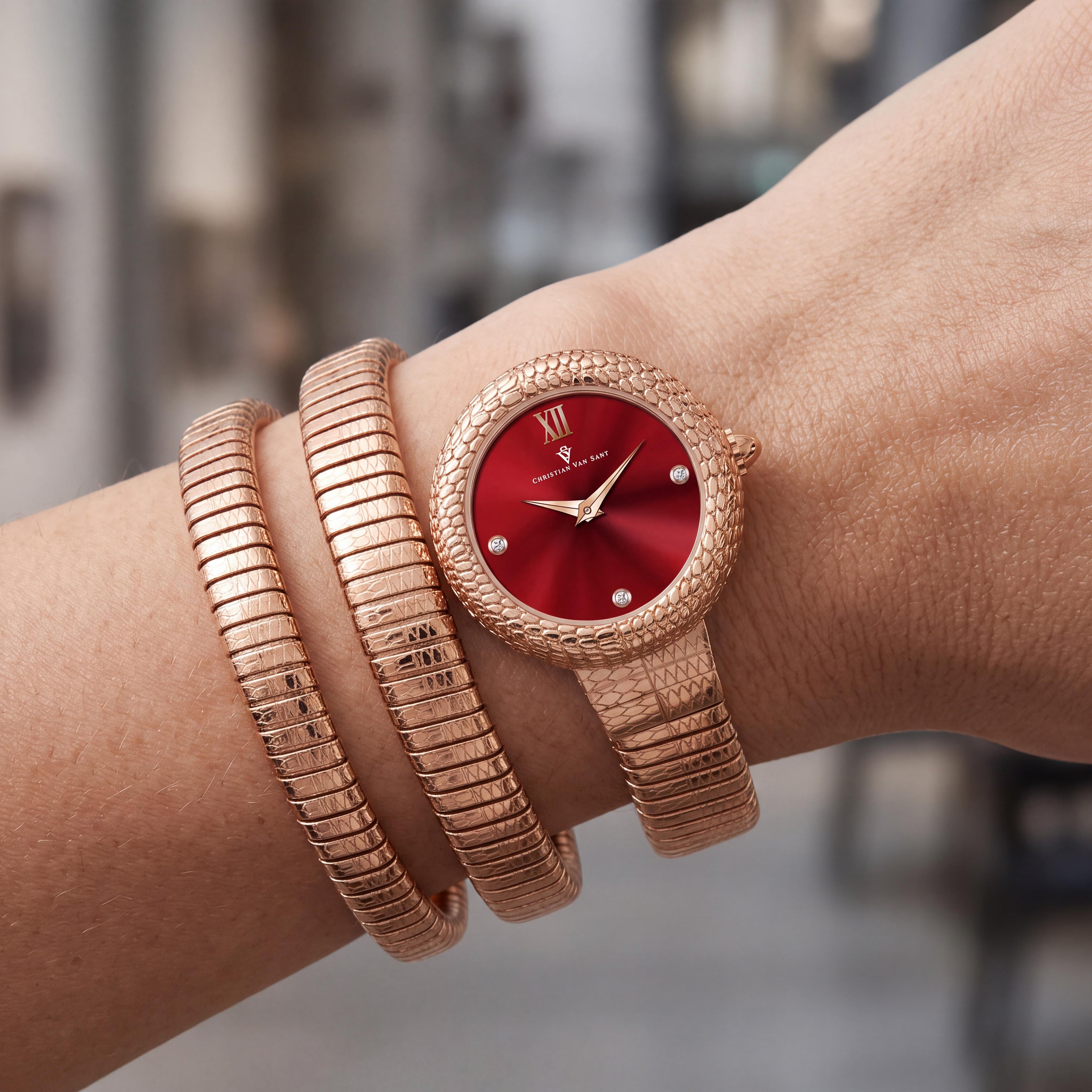 Christian Van Sant CV0893 Modern Women's Watch with Stainless Steel Case, Stainless Steel Bracelet, Red Dial, Water Resistant, Photo 3