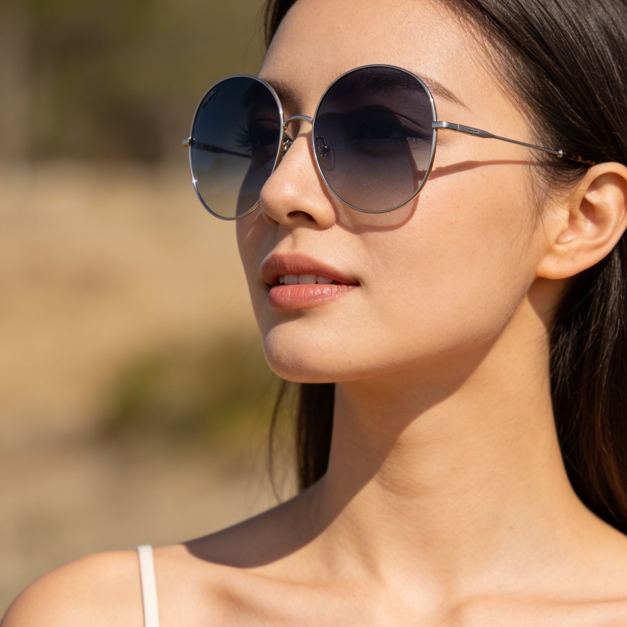 Salvatore Ferragamo Classic Women's Silver Metal Frame 60mm Gradient Smoke UV Protection Non-Polarized Sunglasses, Photo 4
