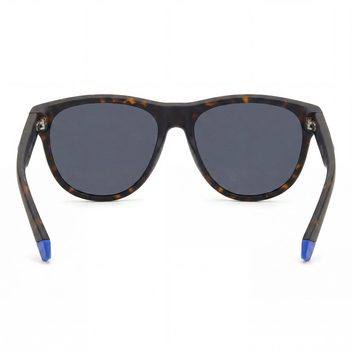 Polaroid PLD 2156/S Matte Brown Havana Rectangle Sunglasses Unisex, 56mm, Photo 4