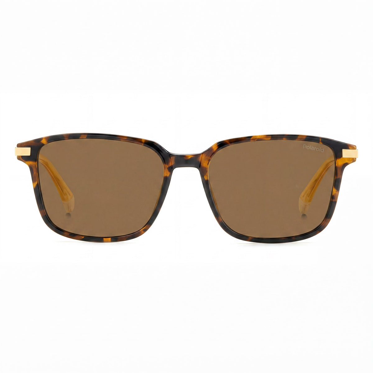 Polaroid PLD 4169 Havana Brown Square Sunglasses Unisex, 54mm, Photo 2